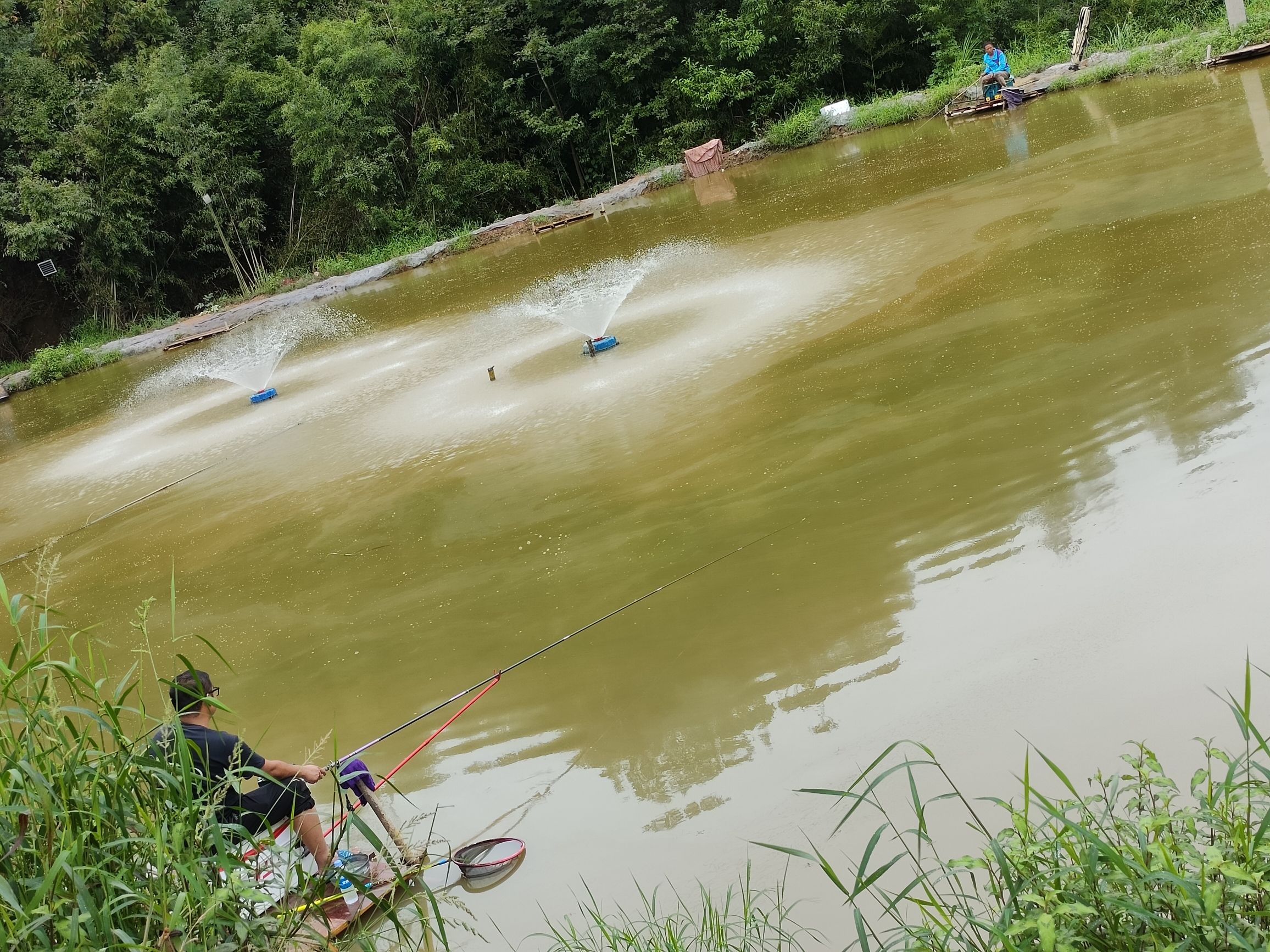 金寨县艺禾水产养殖