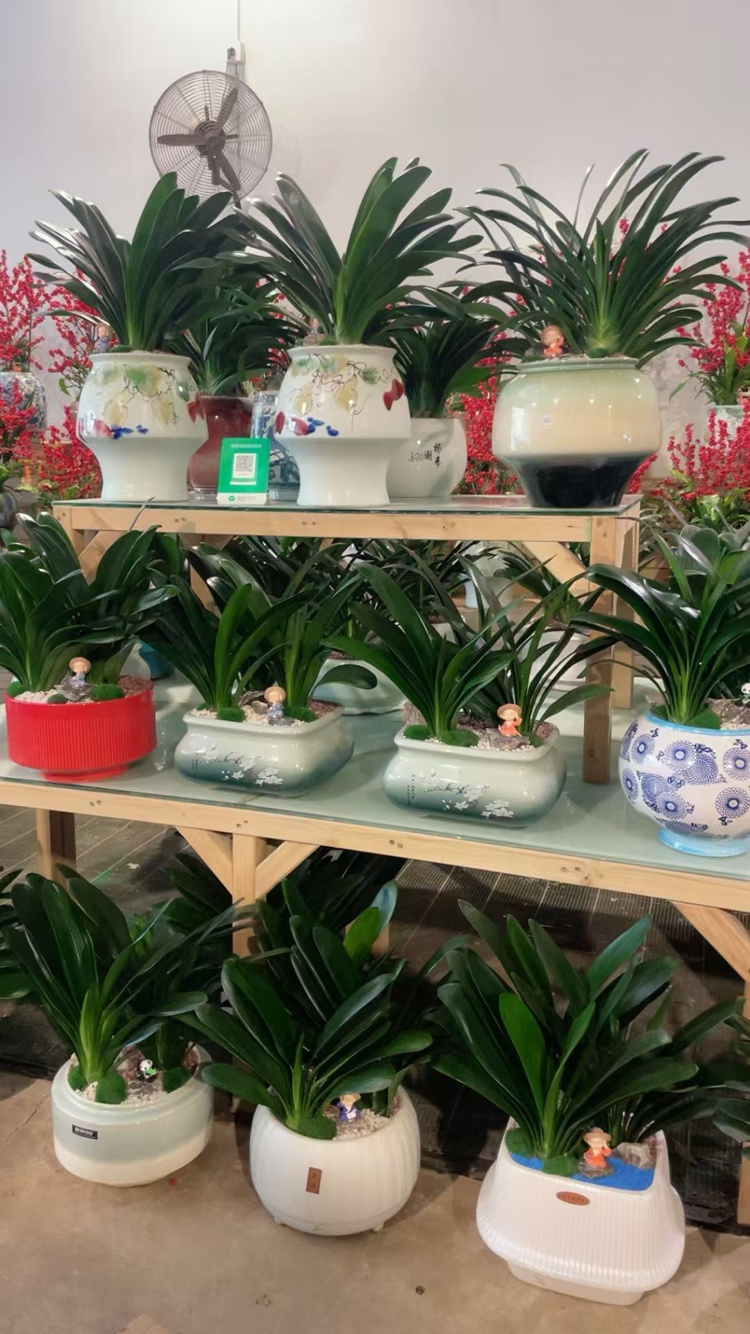 东方园艺(不做鲜花花束)