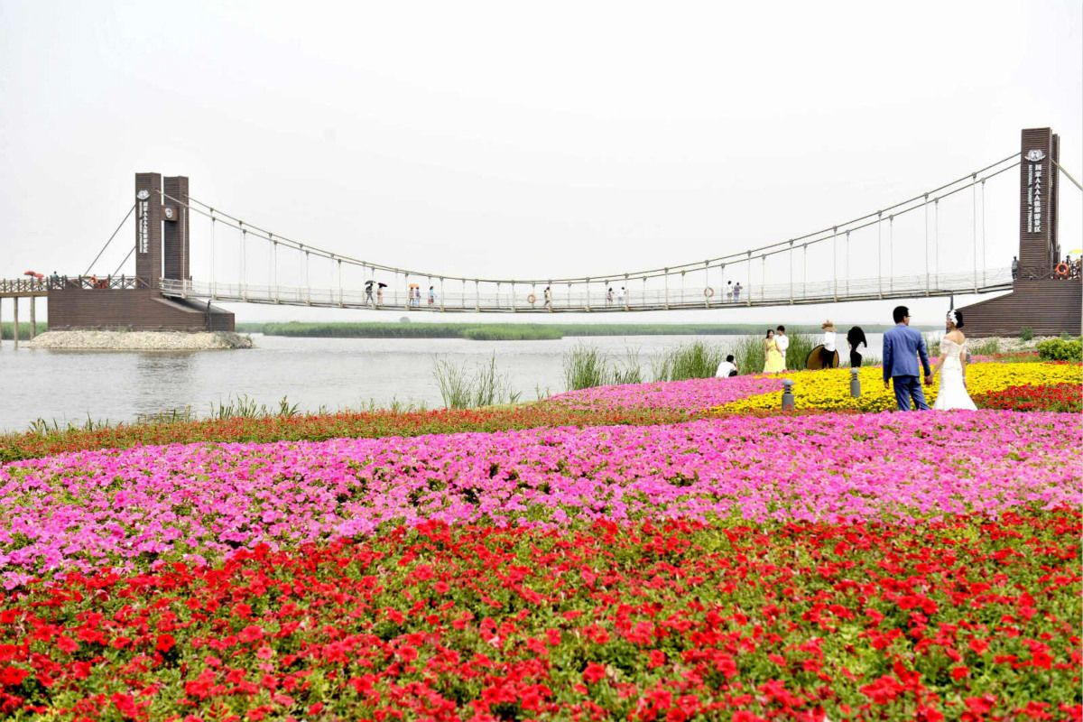 七里海花海世界旅行图片 2