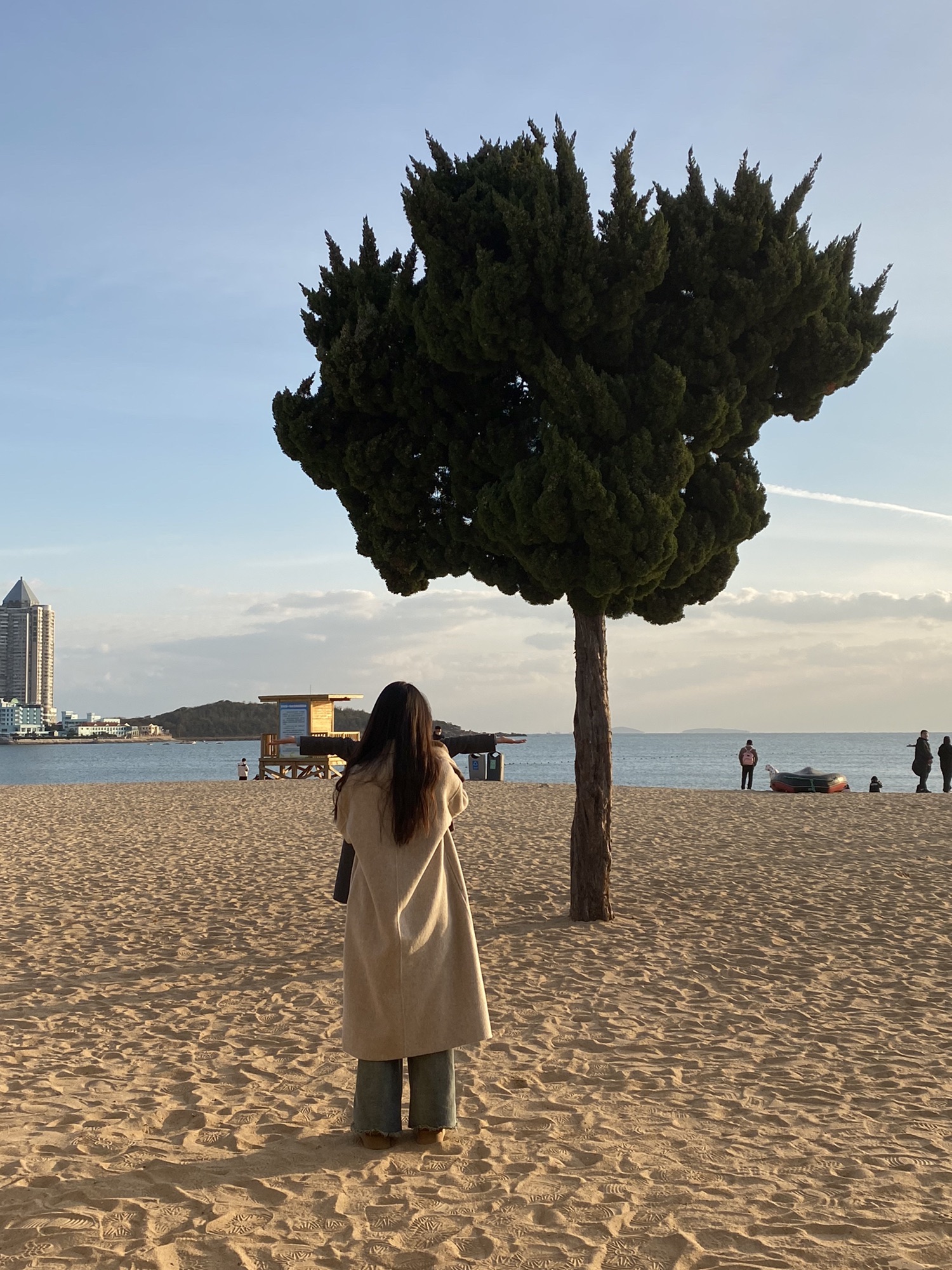 爱心树旅行图片 1