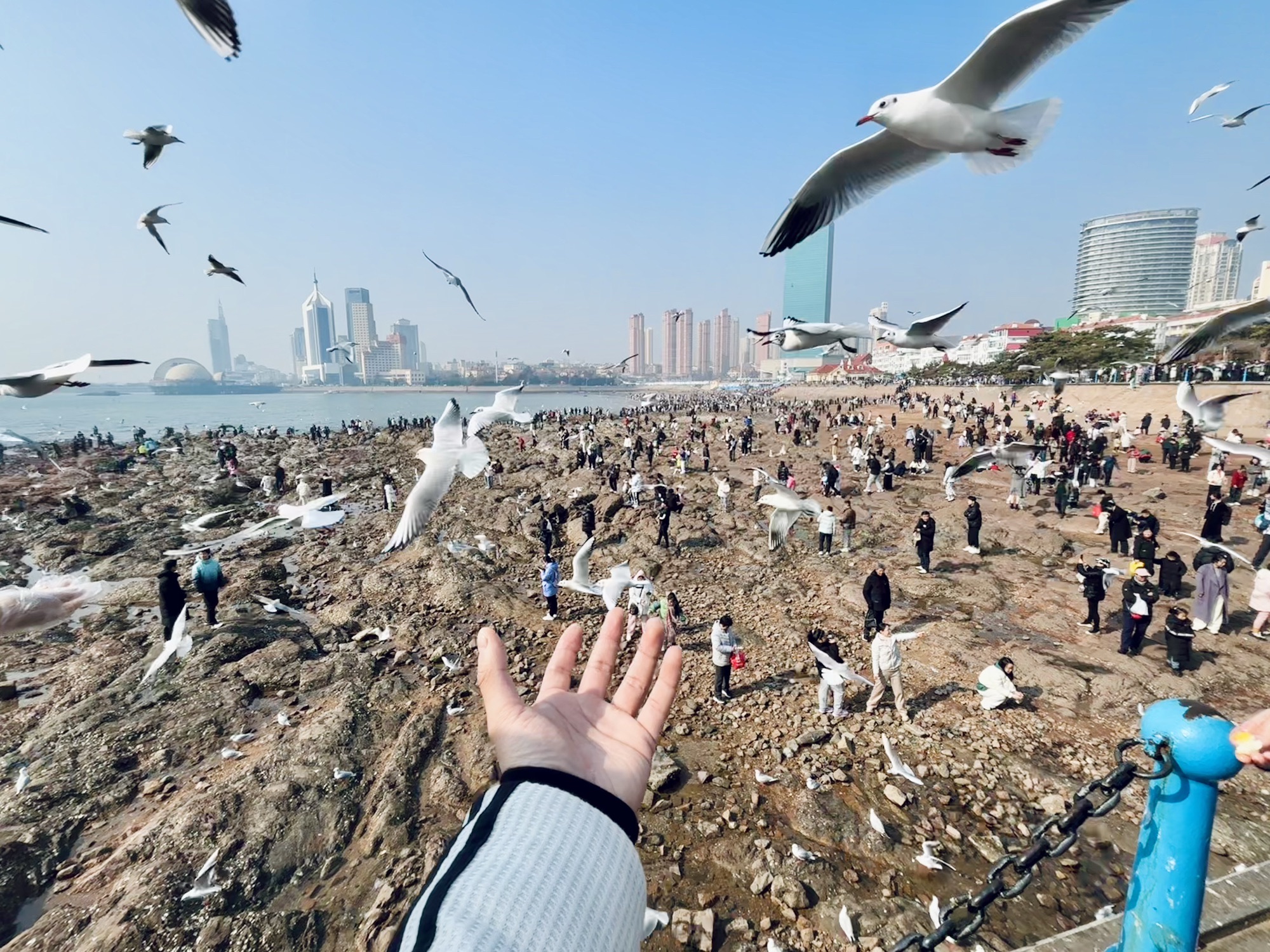 爱心树旅行图片 1
