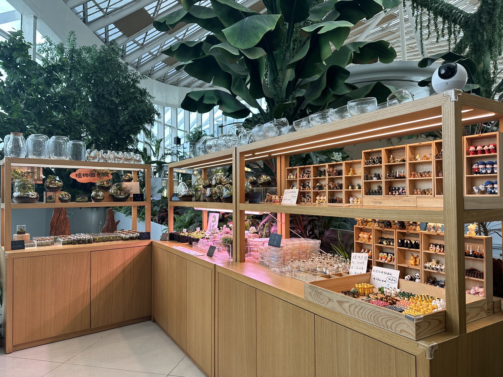 场地封面-微景四季·DIY·团建