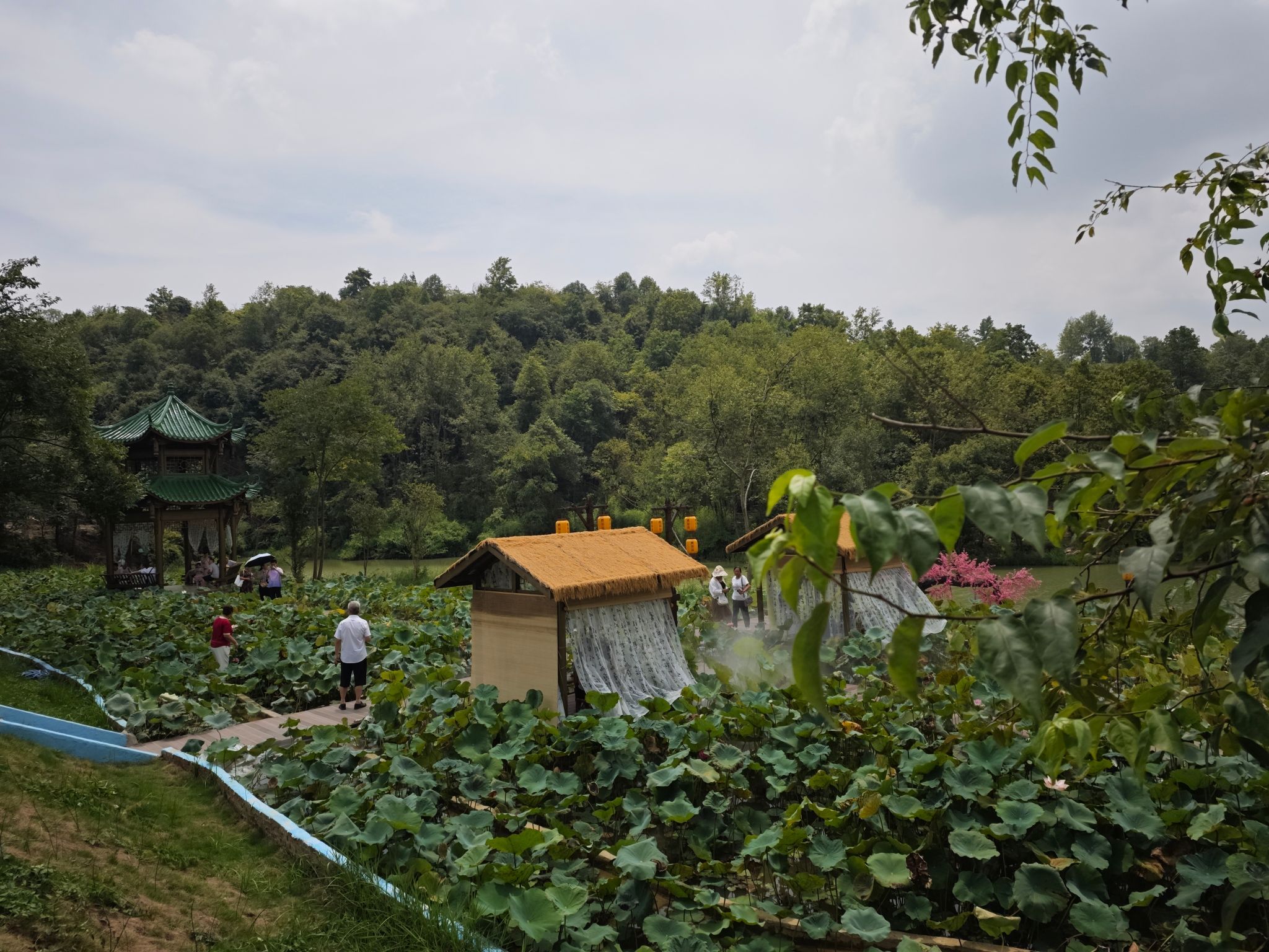 车田问仙谷旅行图片 1