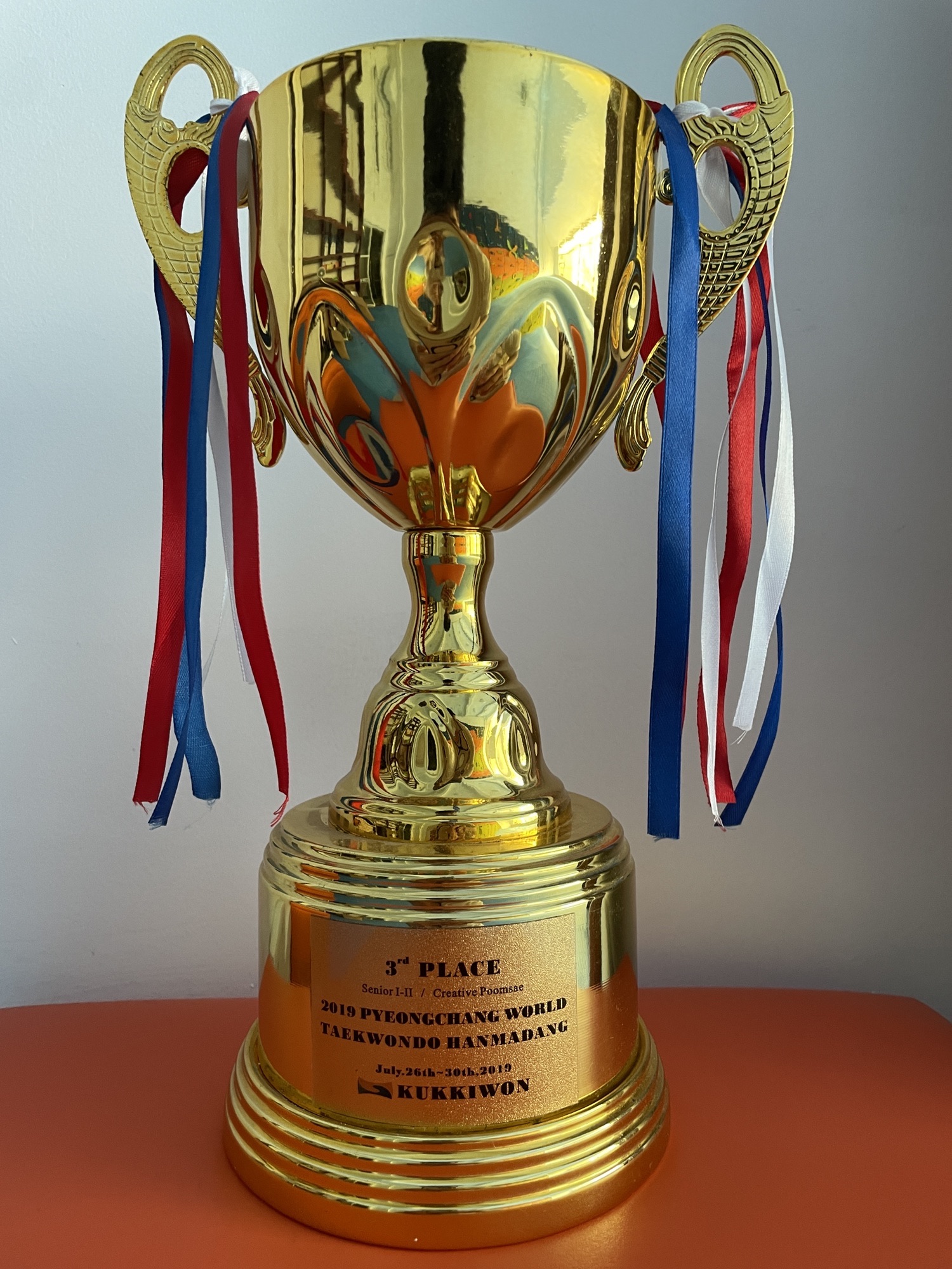 场地封面-凌扬跆拳道