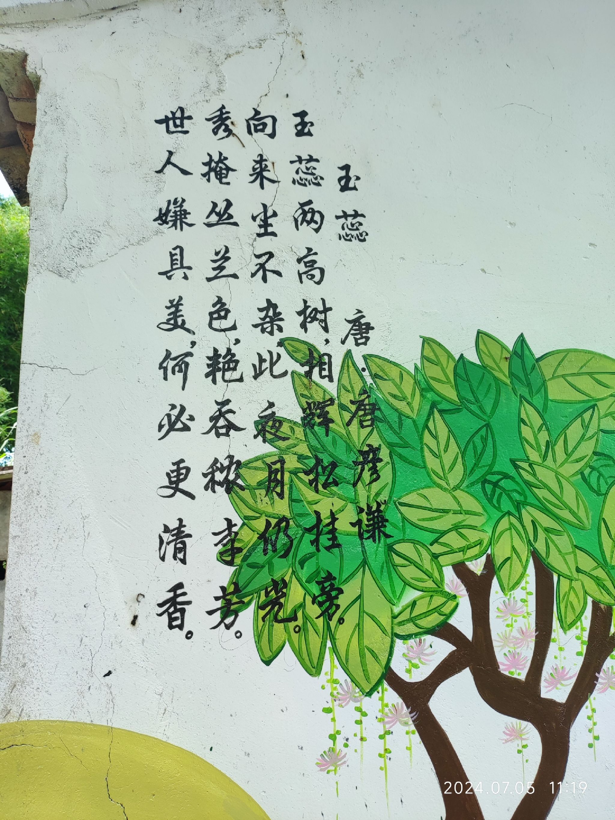 官田玉蕊红树林旅行图片 1