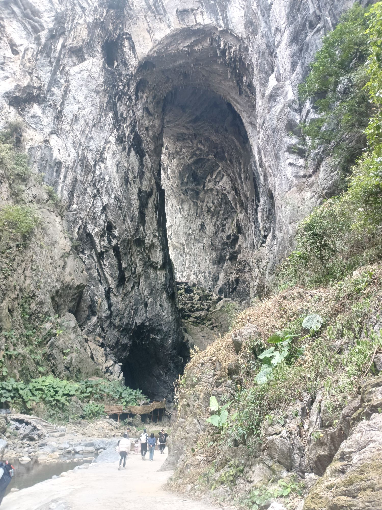 燕窝洞旅行图片 3
