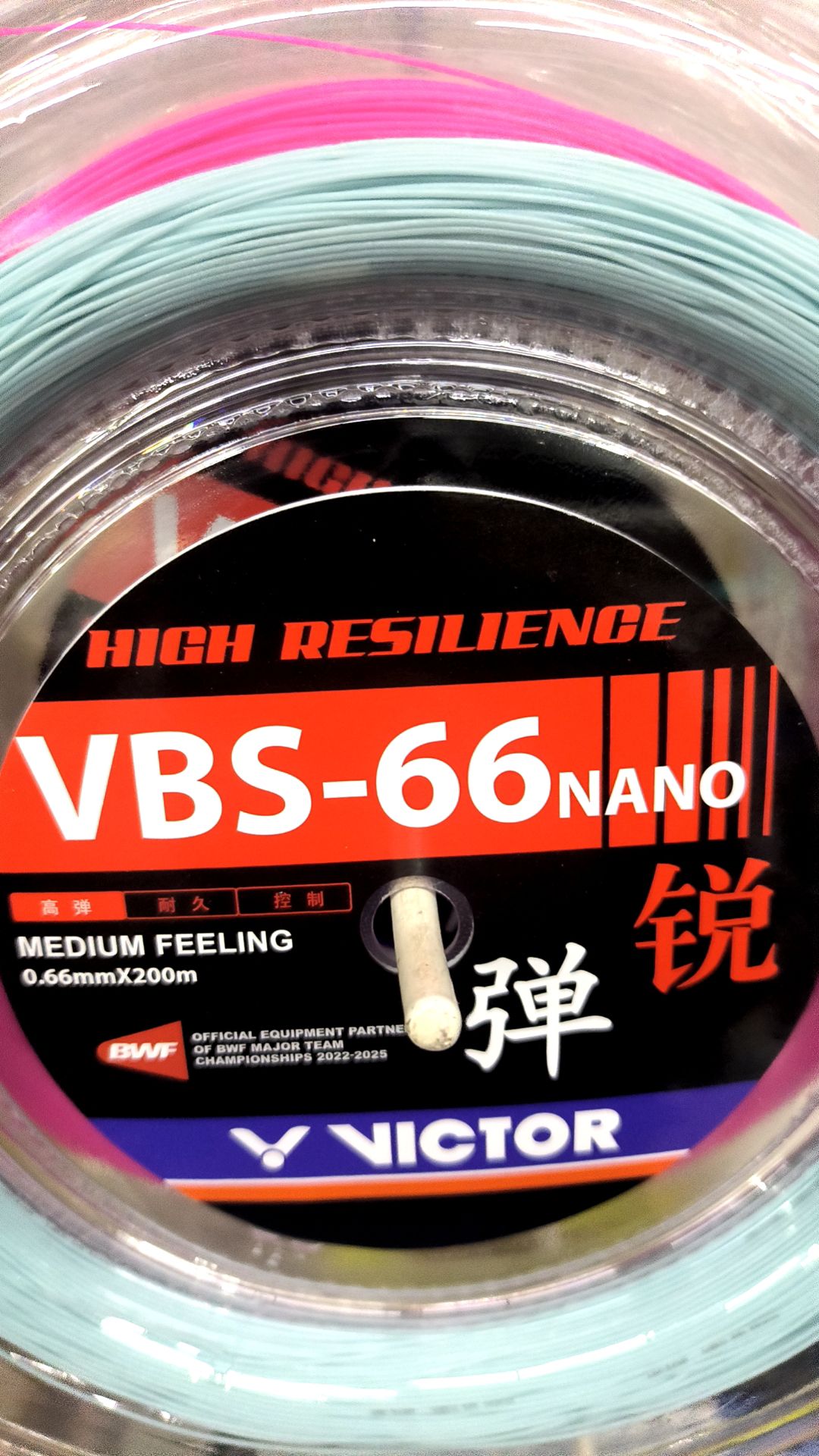 力美体育