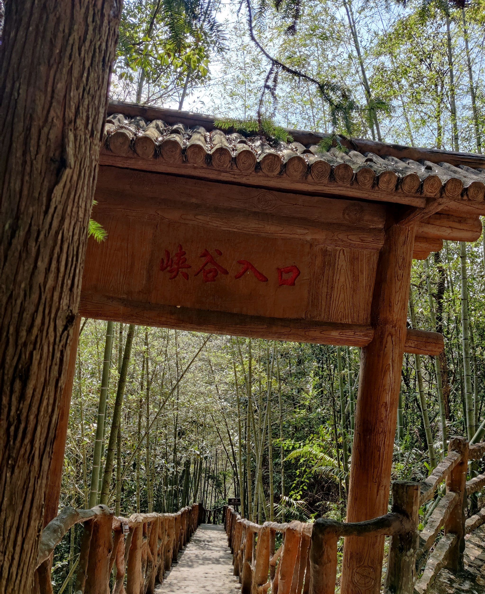 粤东大峡谷旅游景区旅行图片 3