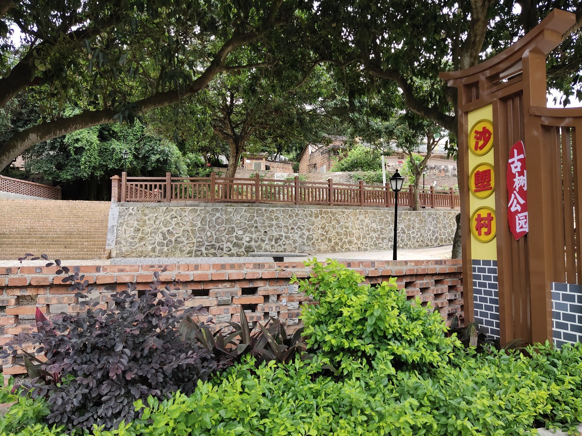 沙塱村古树公园旅行图片 1