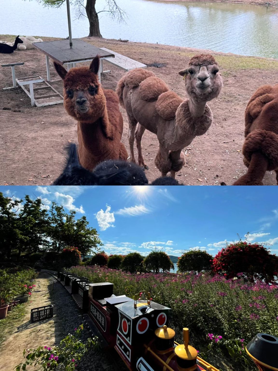 西海浪(暂停开放)旅行图片 2