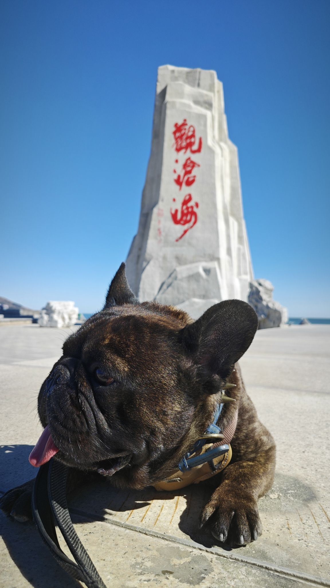 观沧海碣石旅行图片 1