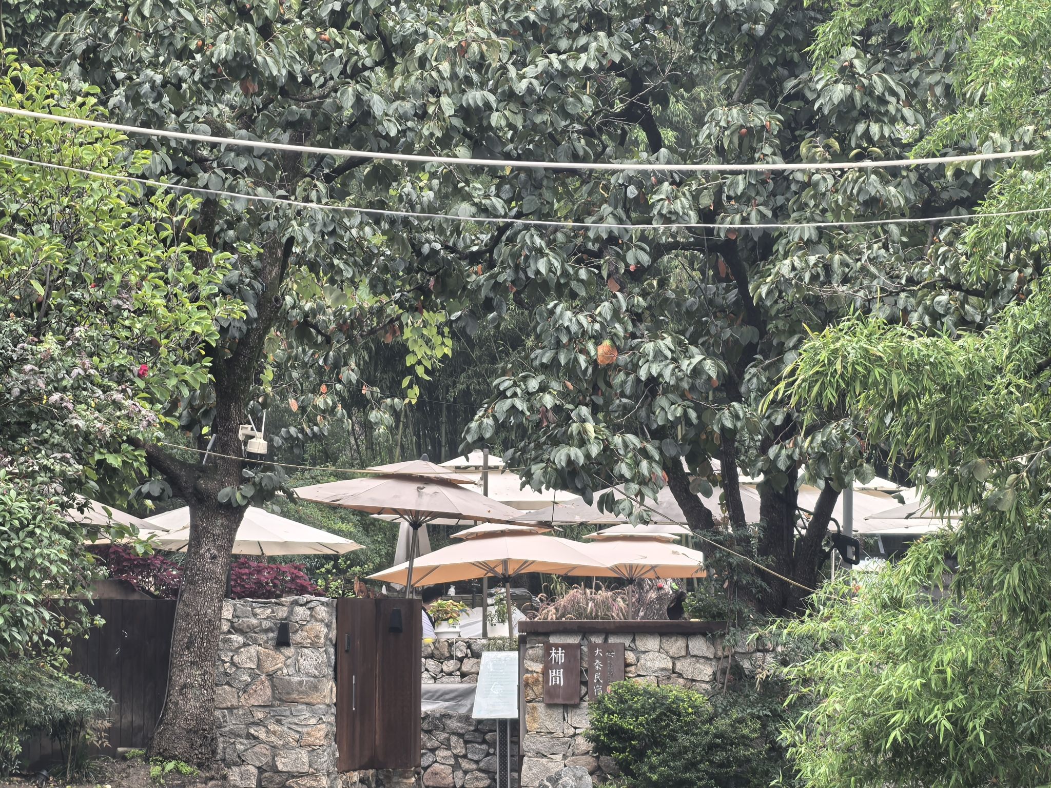 场地封面-大秦山庄