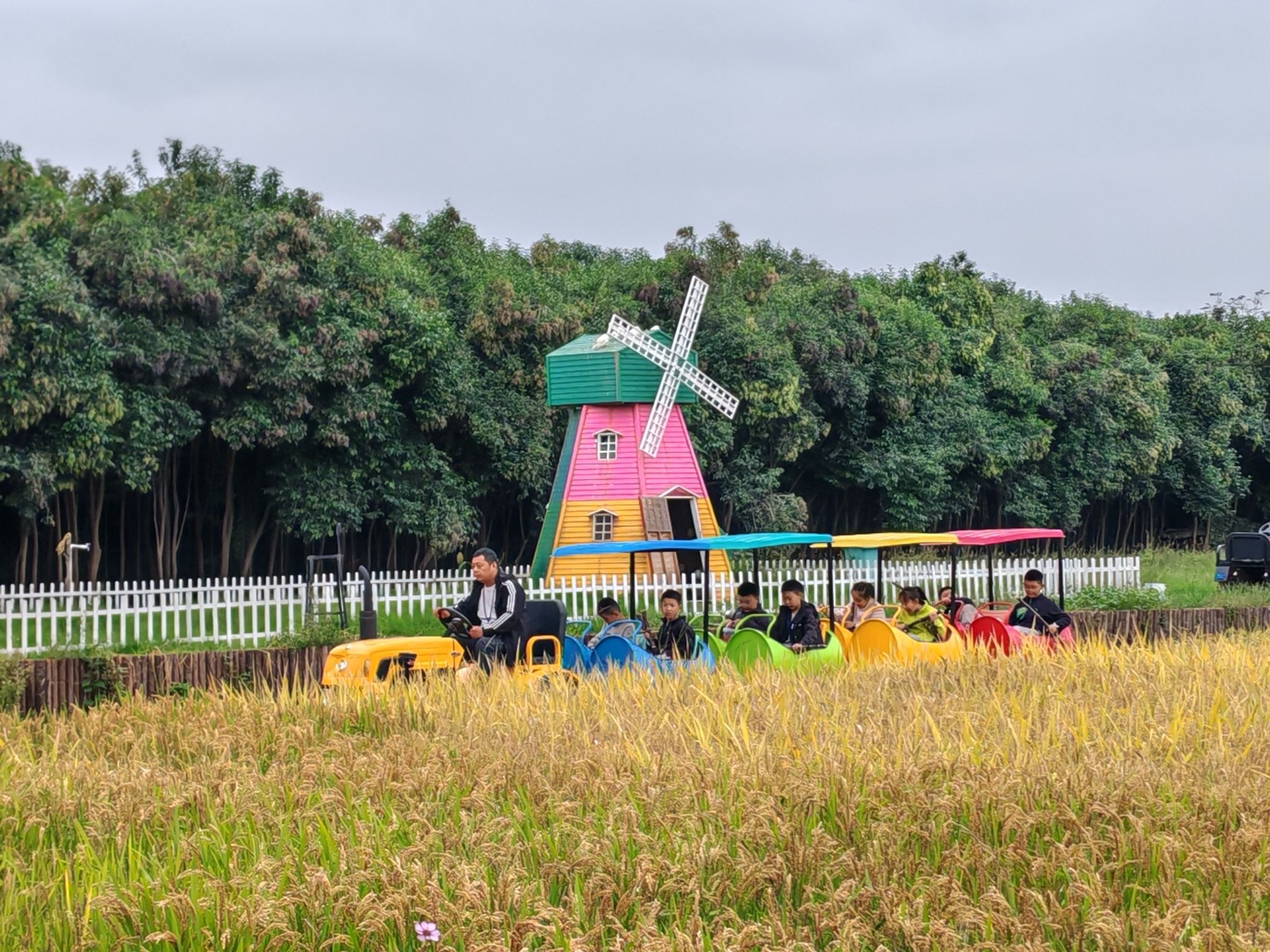 场地封面-河堤农场稻田捉蟹