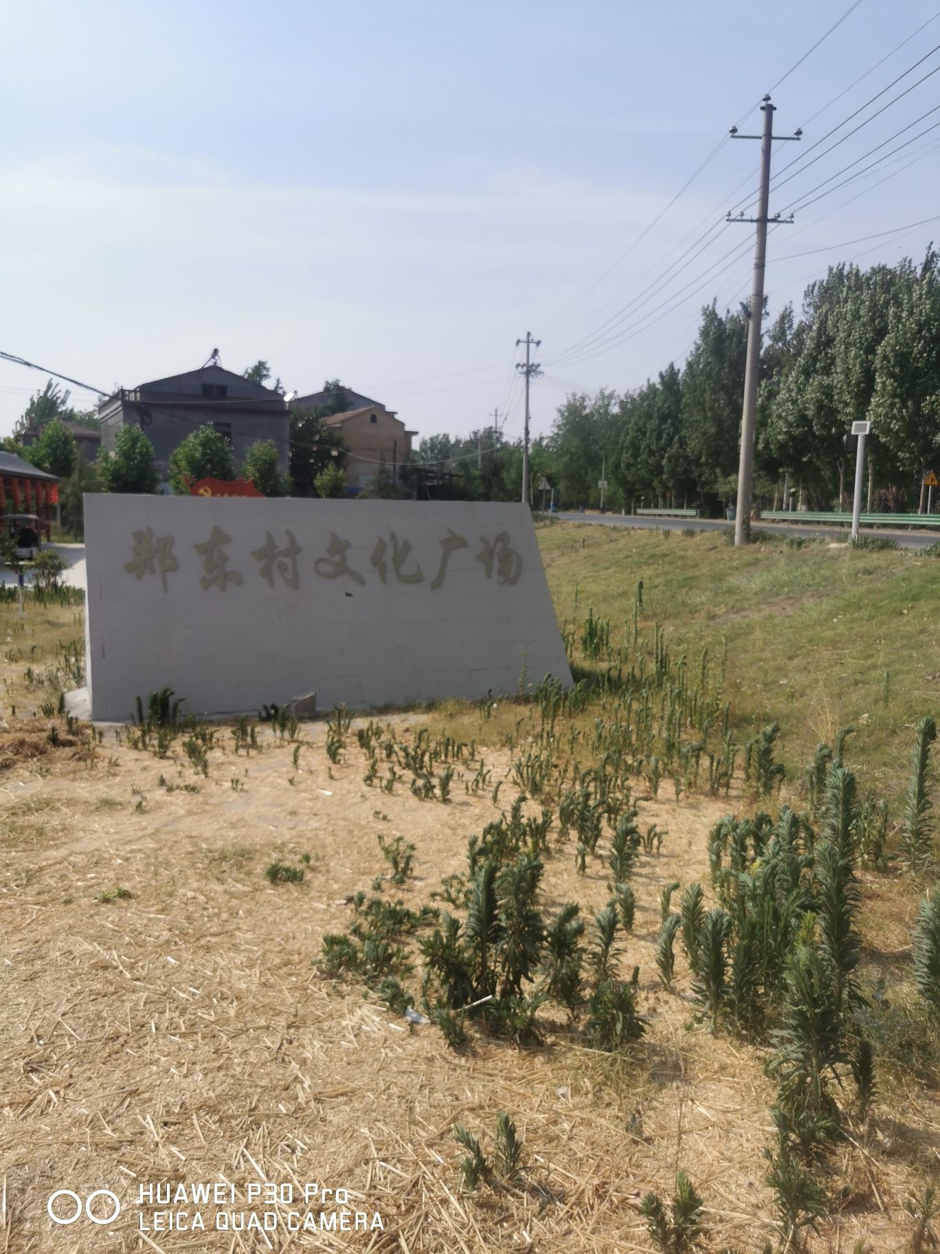 郑东村文化广场旅行图片 1