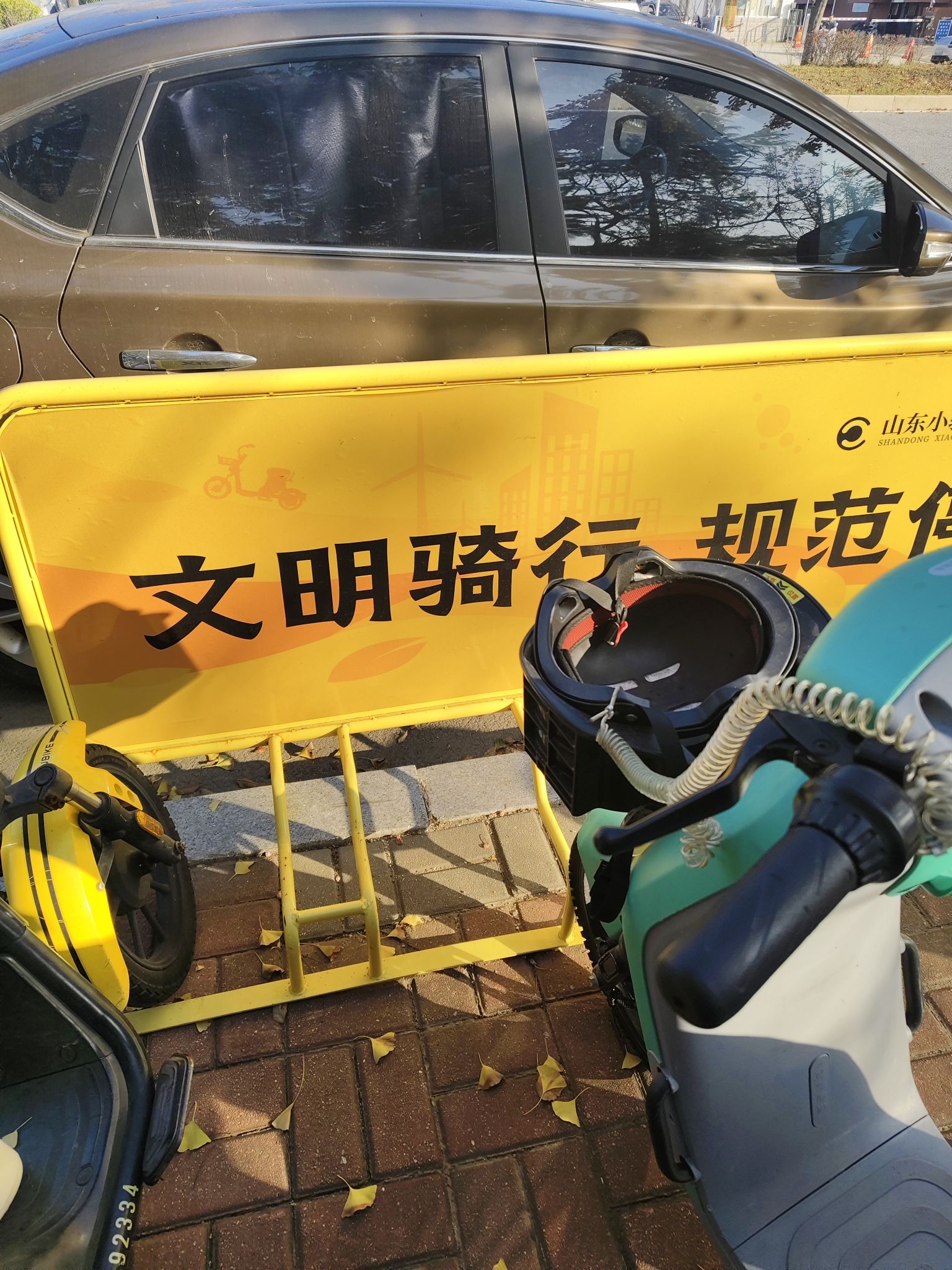 烟台凤凰湖Velosolutions国际泵道公园旅行图片 3