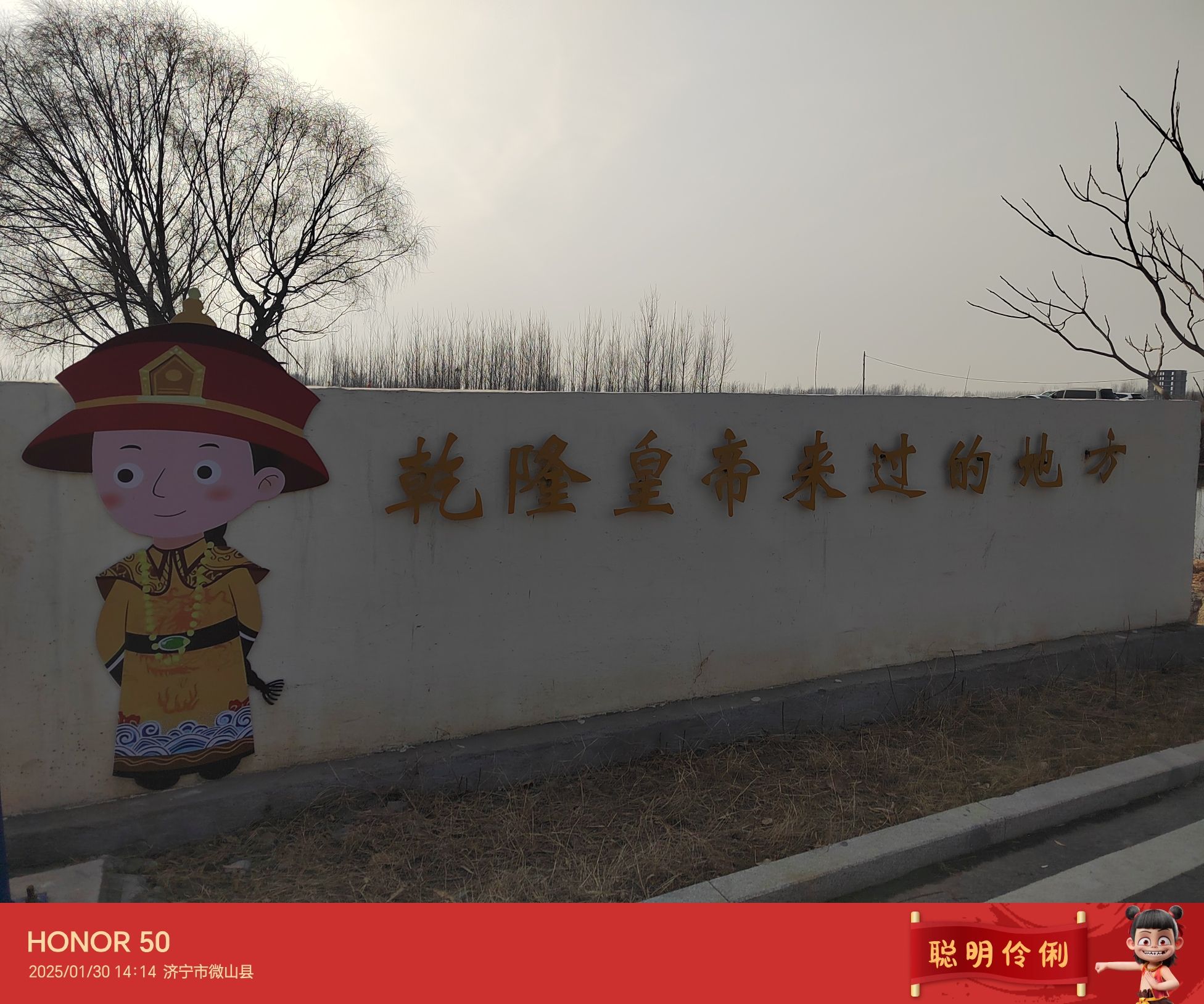 微山湖运河里景区旅行图片 3