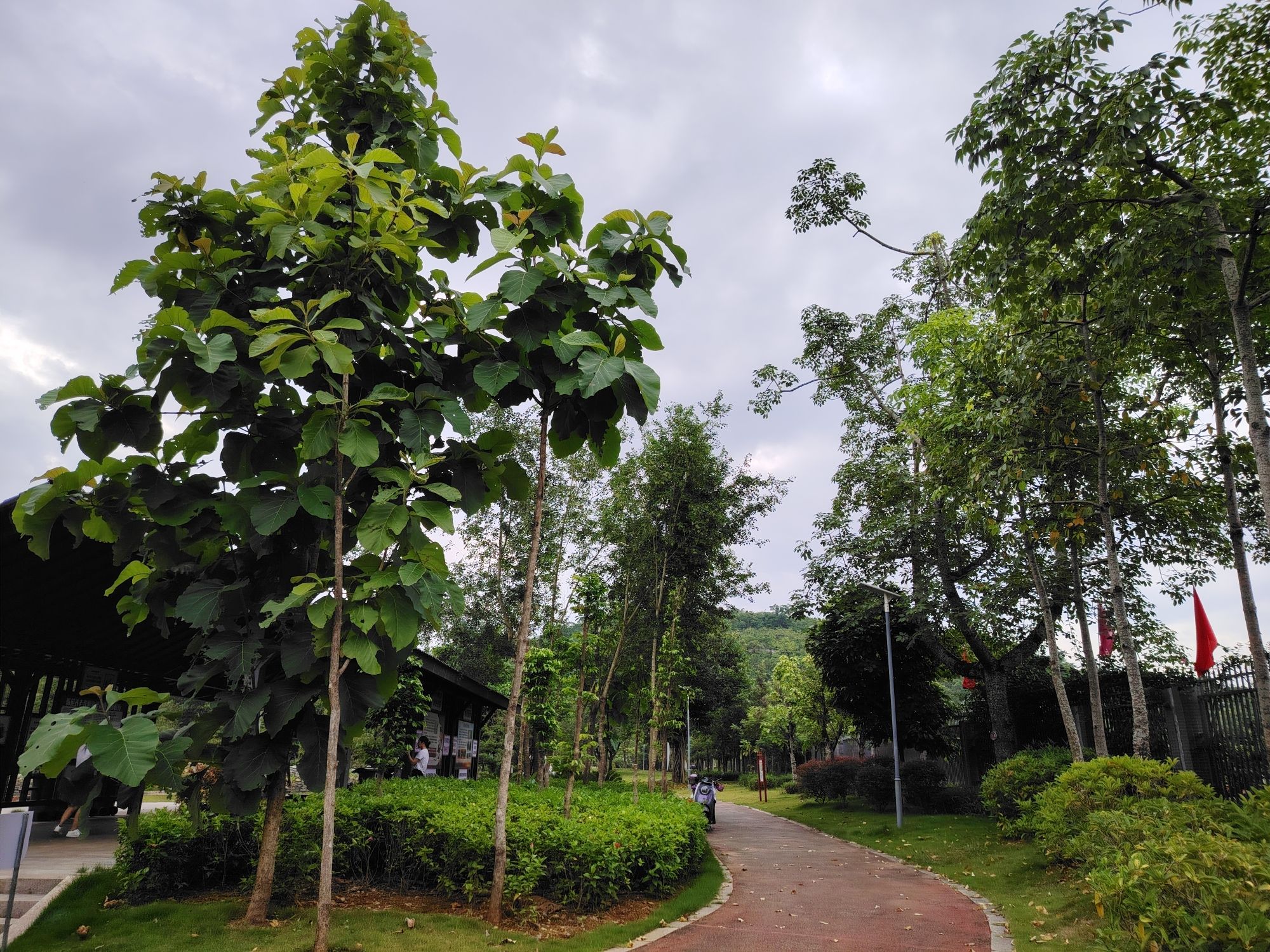 教育公园旅行图片 3