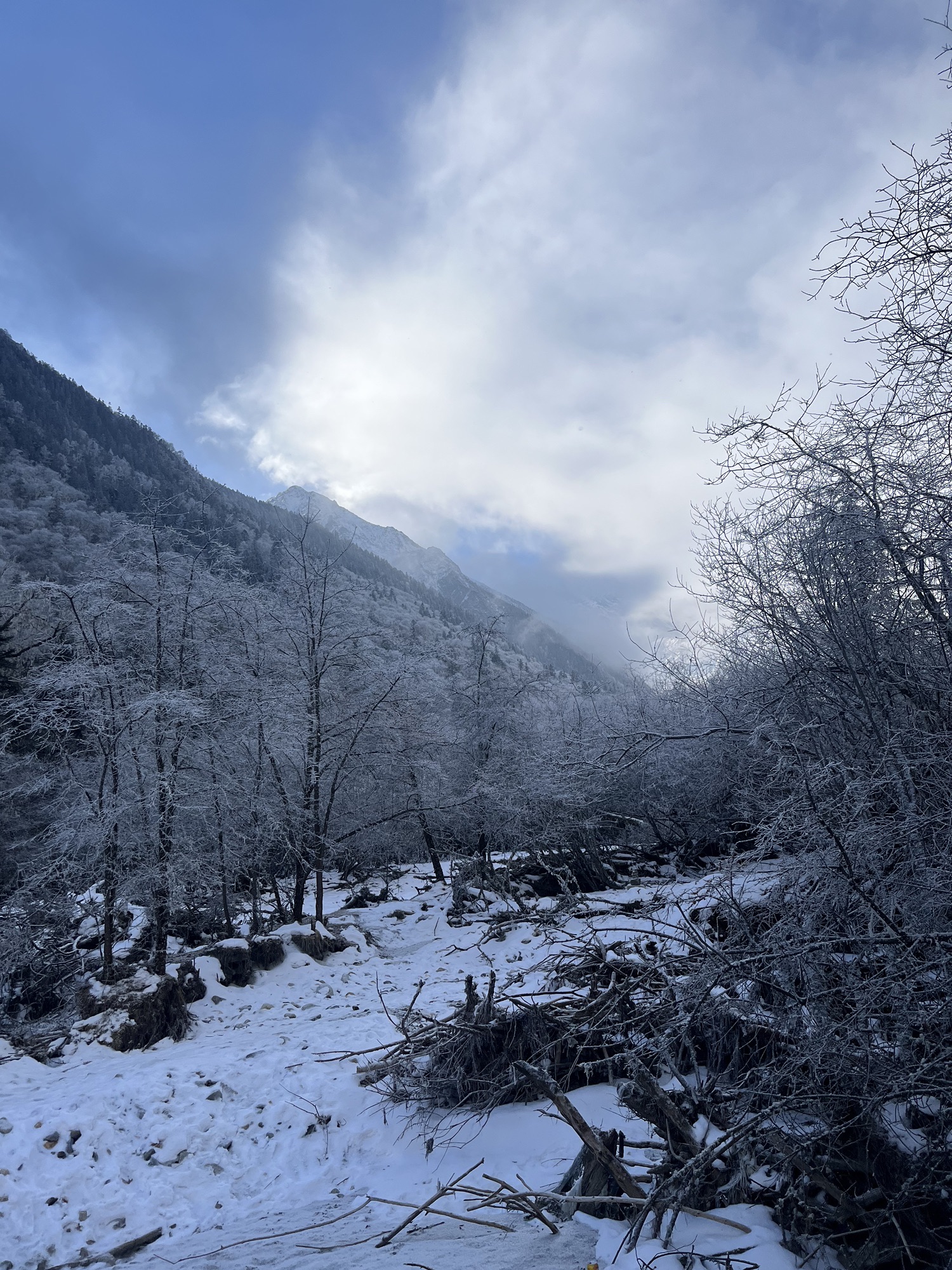 理小路雷神王网红瀑布旅行图片 2