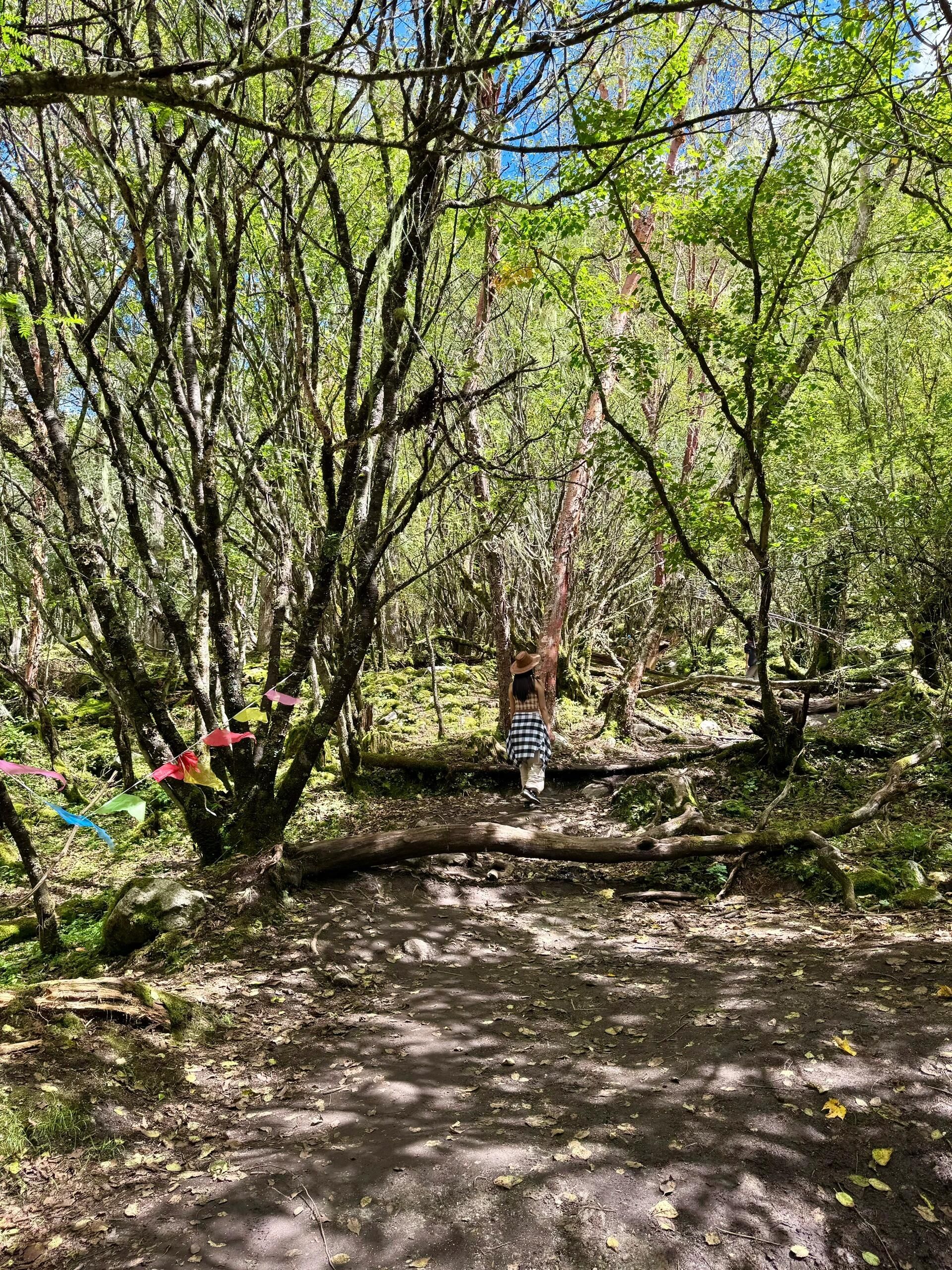 理小路雷神王网红瀑布旅行图片 2