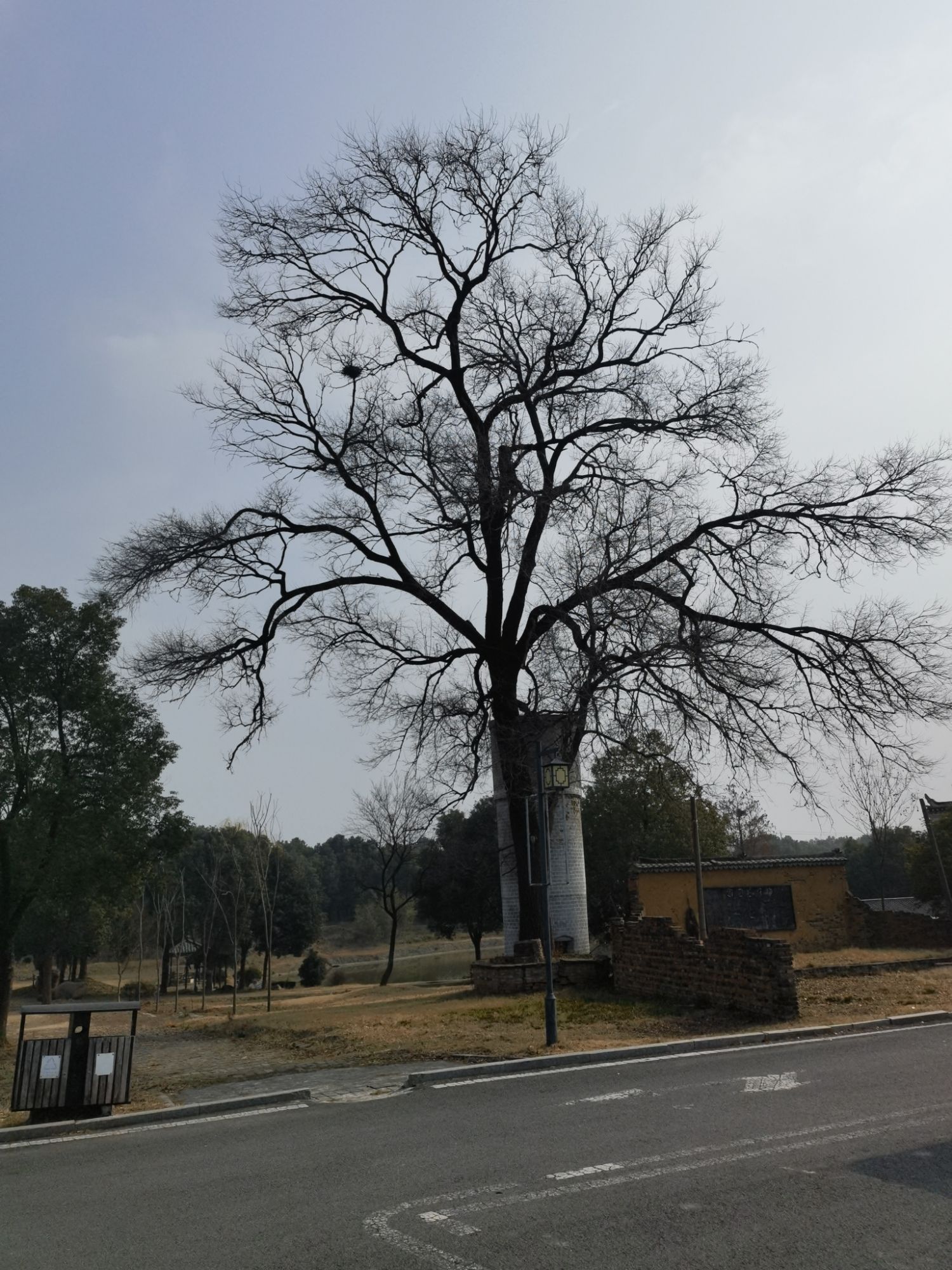 肥西老母鸡家园旅行图片 2