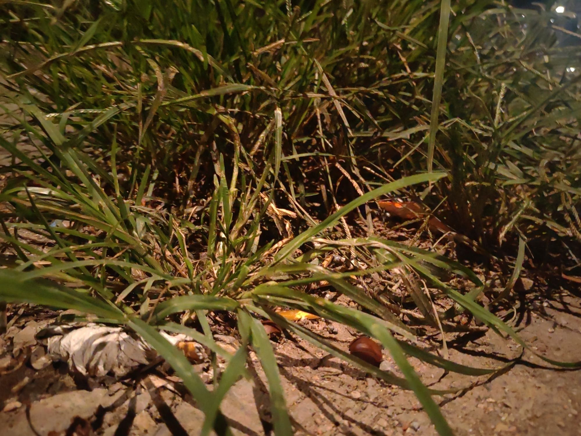 小草原旅行图片 3