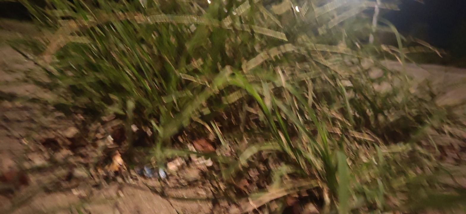 小草原旅行图片 1