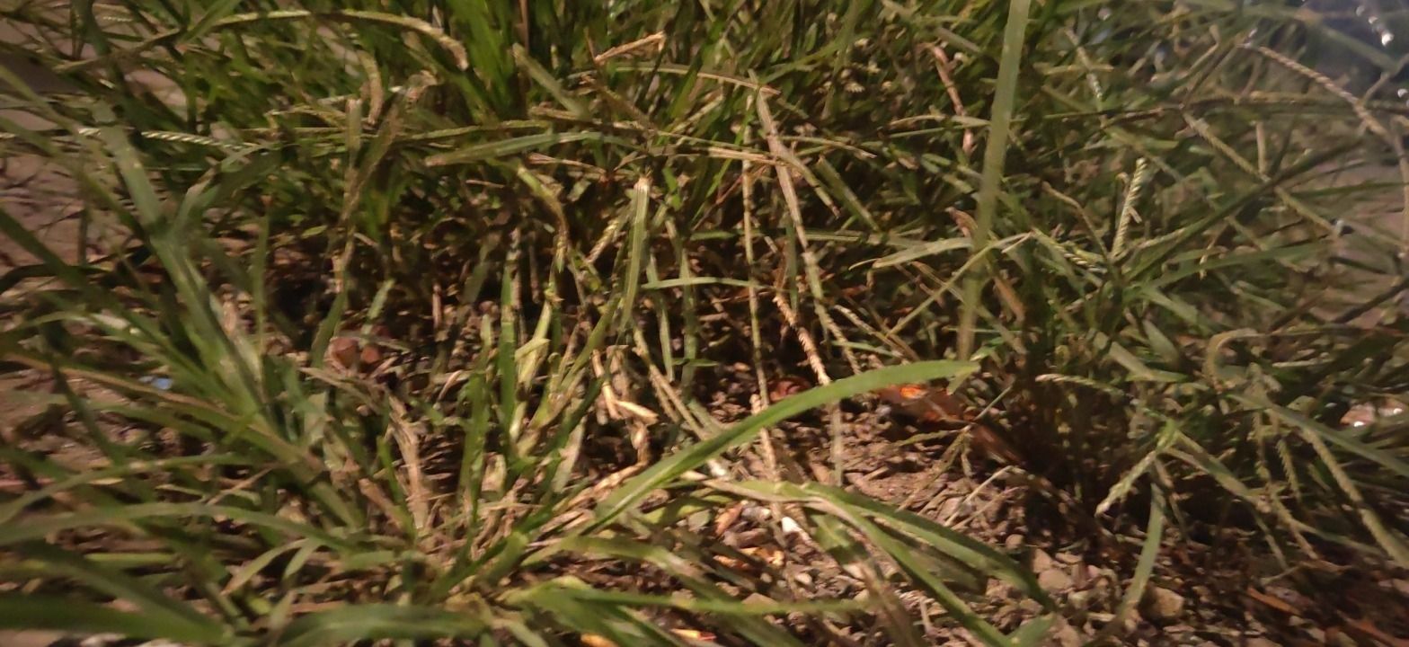 小草原旅行图片 2