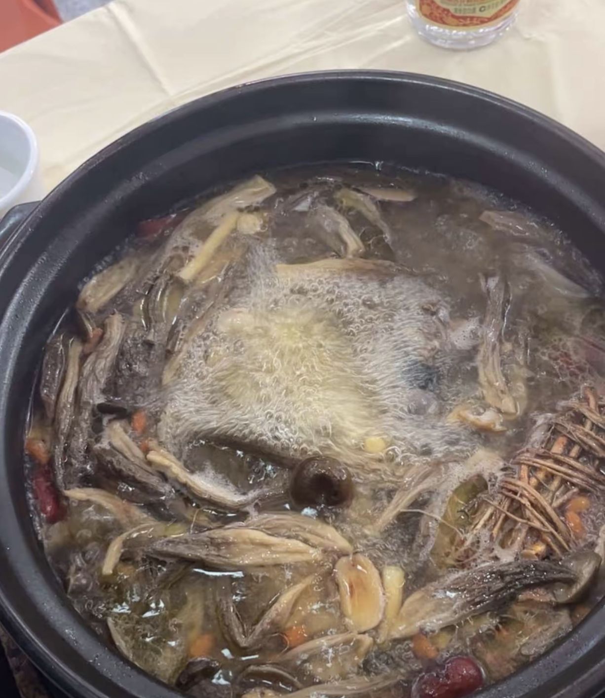 鼎记甲鱼鸡子牛鞭煲(文昌店)