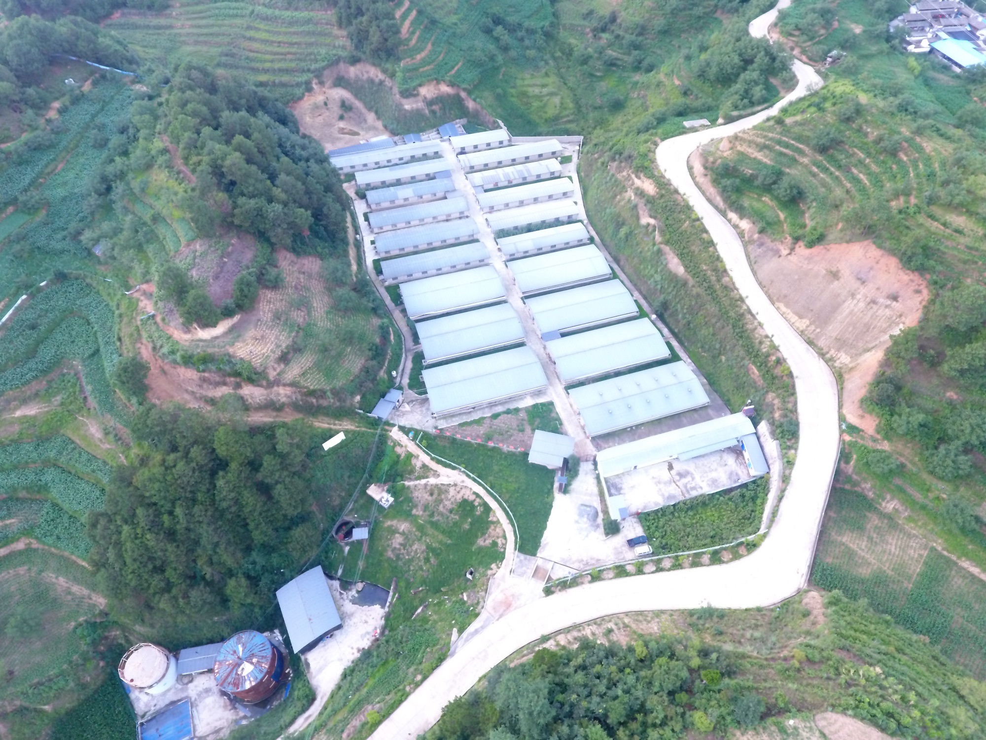 泸水市天运农业有限公司