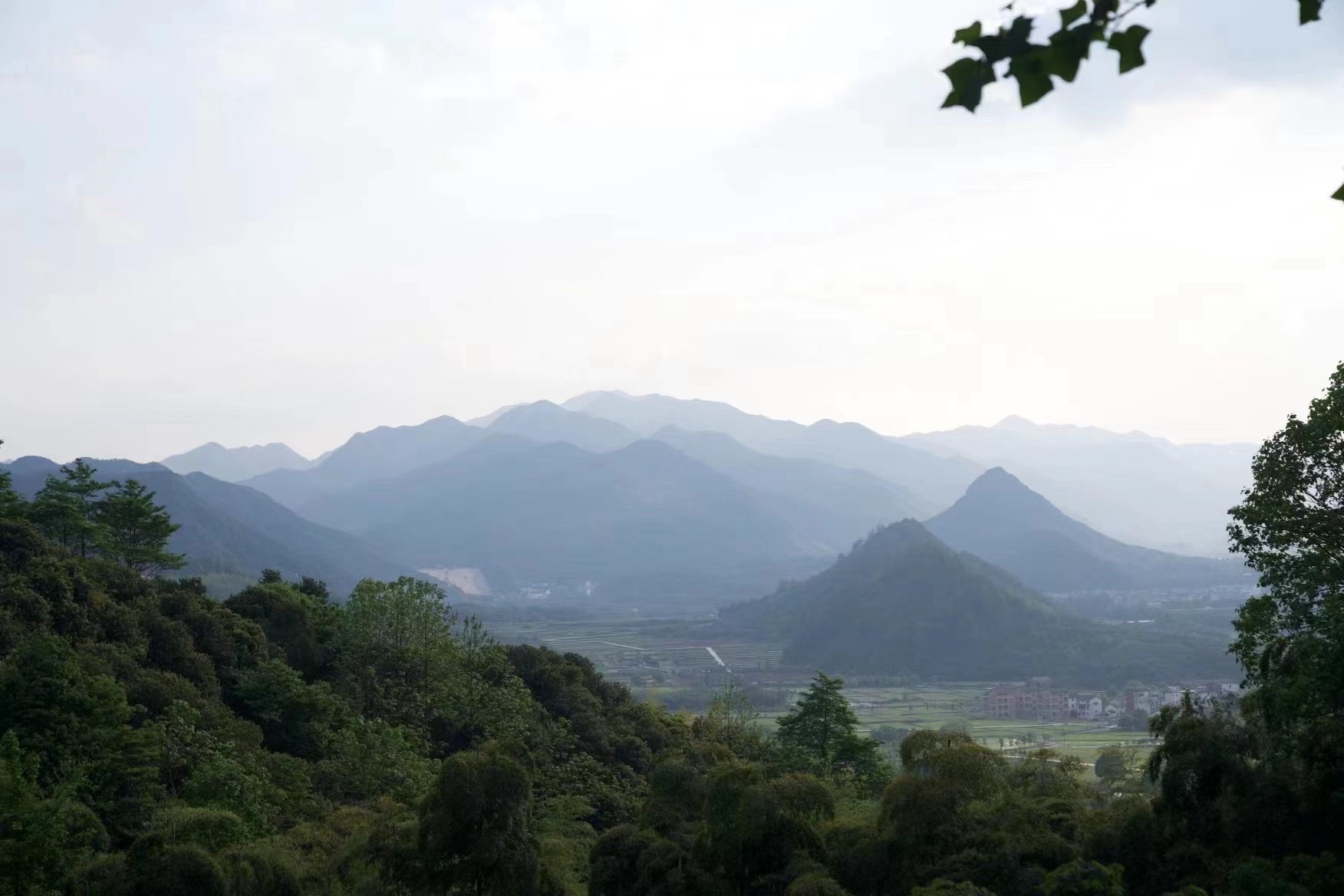 三溪百草园旅行图片 3