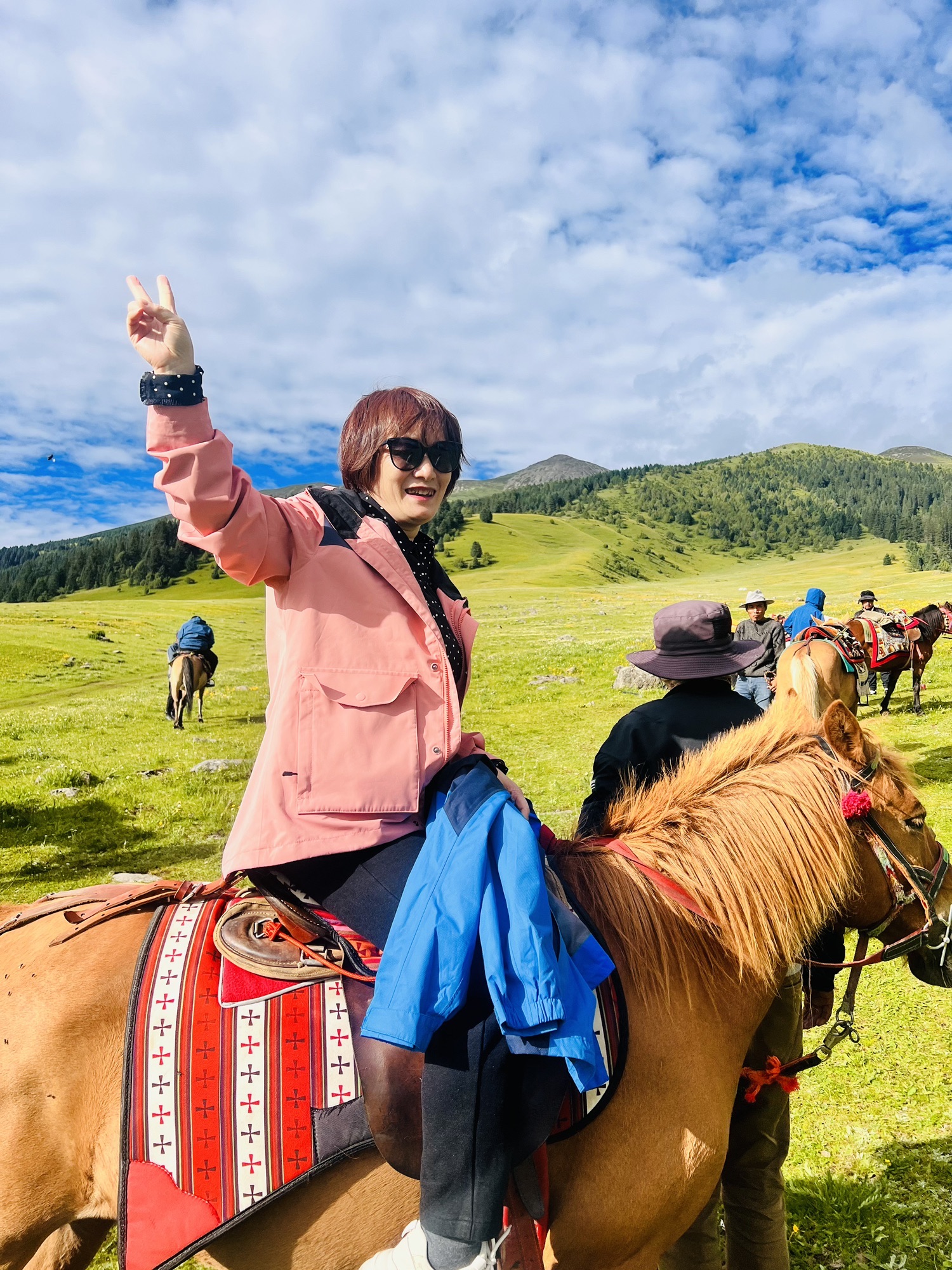 玉科大草原观景台旅行图片 1