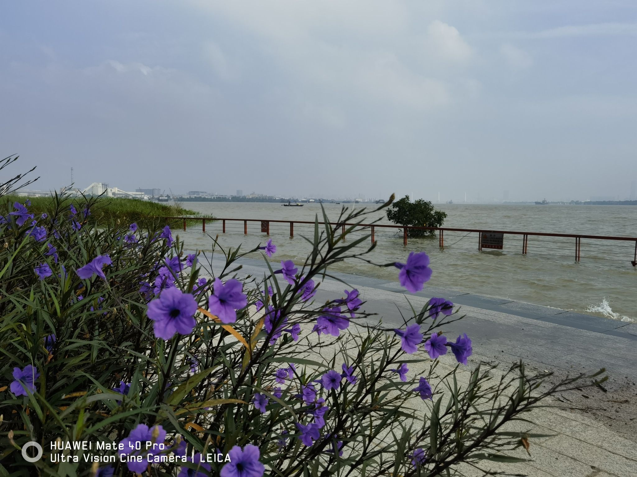 沙头顶海边公园旅行图片 2
