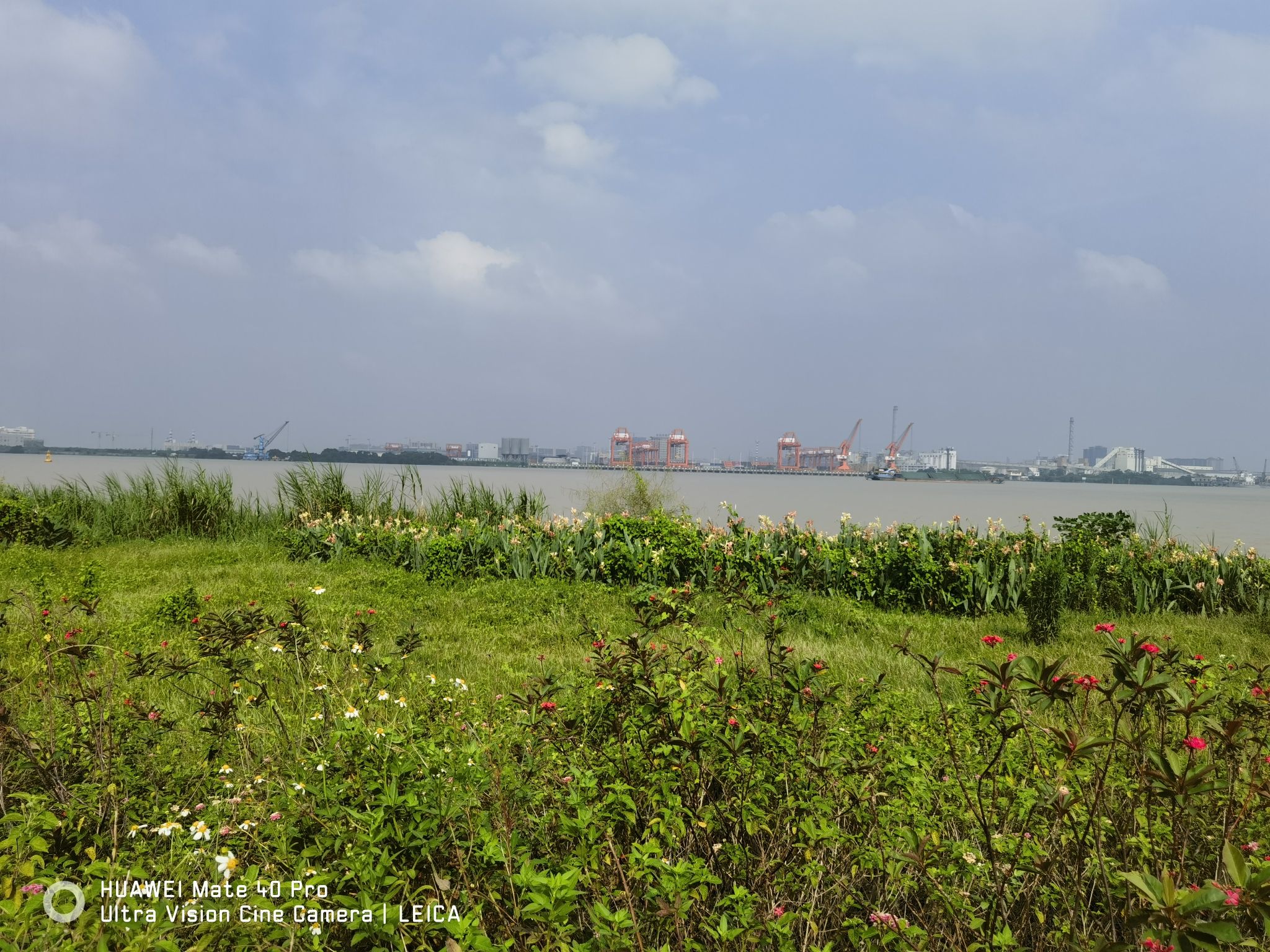 沙头顶海边公园旅行图片 1