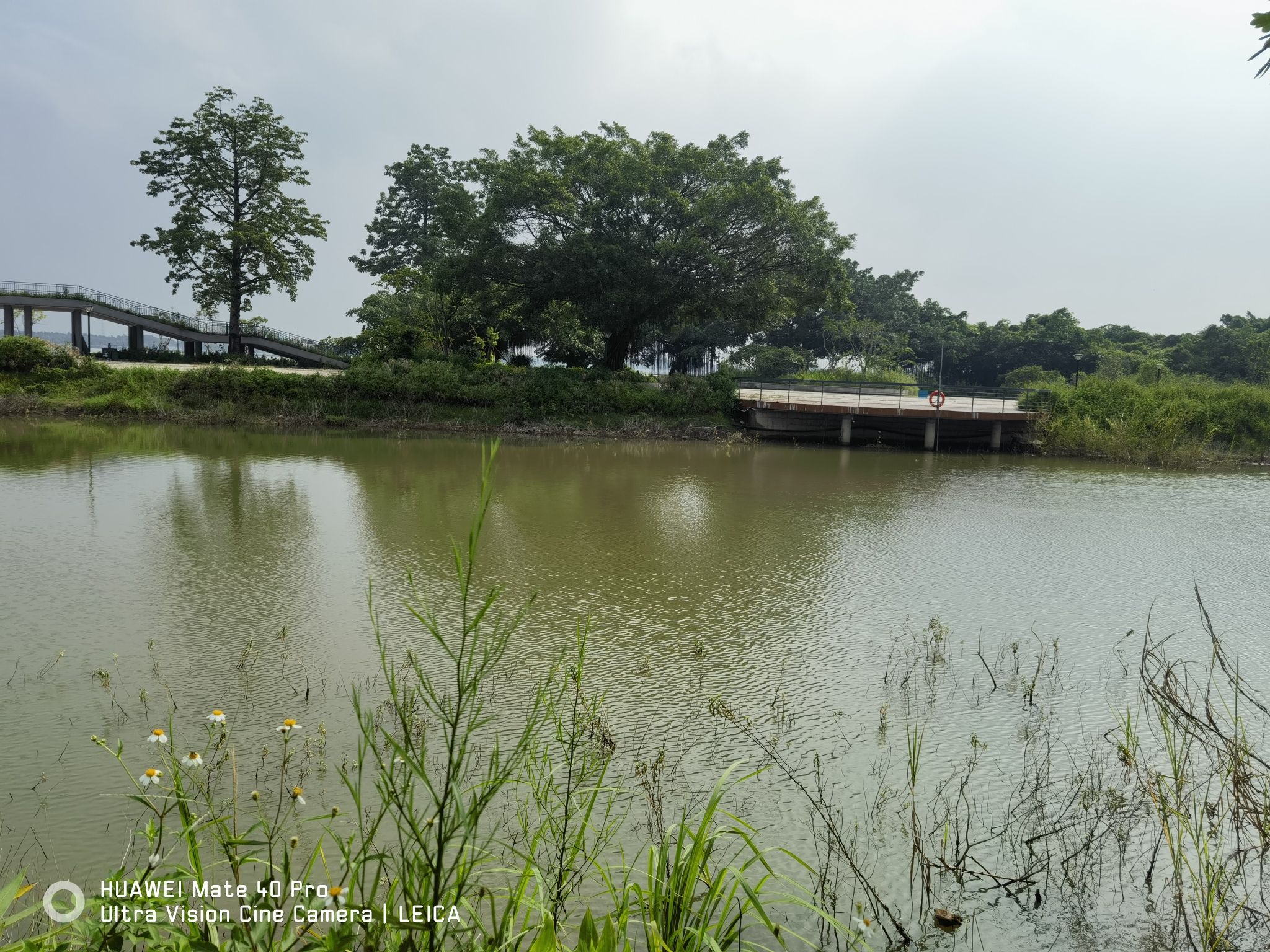 沙头顶海边公园旅行图片 3