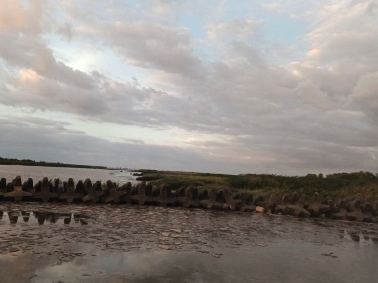 九段沙湿地保护区旅行图片 2