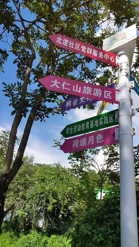 北逻公园荷花池旅行图片 1