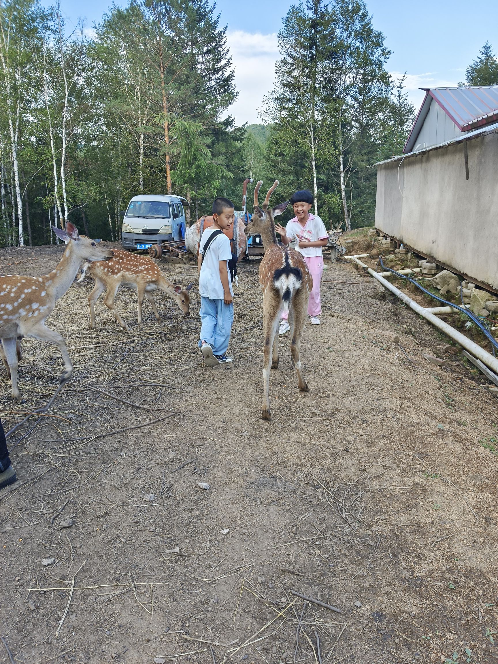 丰林兴安鹿苑(五营景区)旅行图片 2