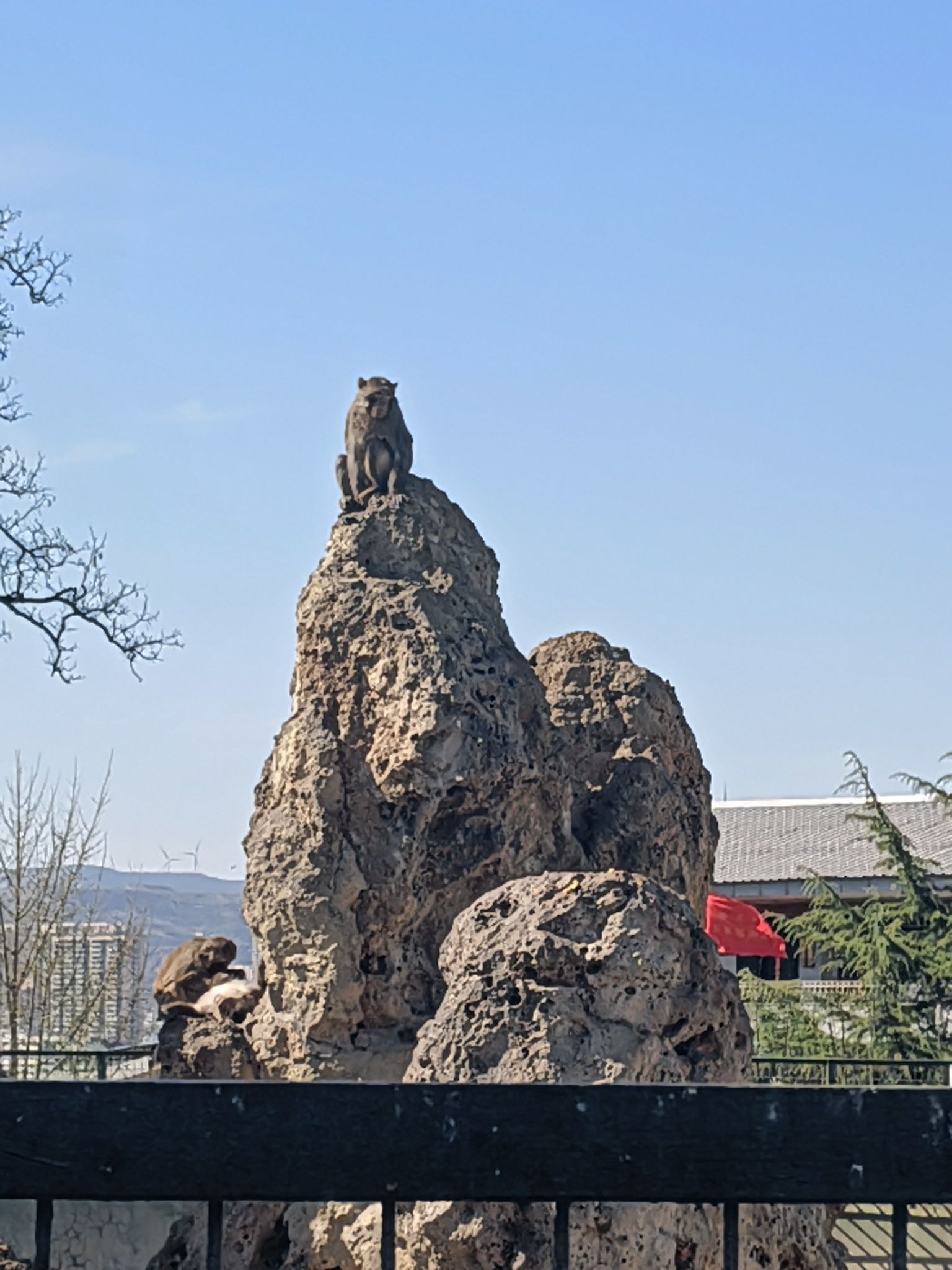 猴山