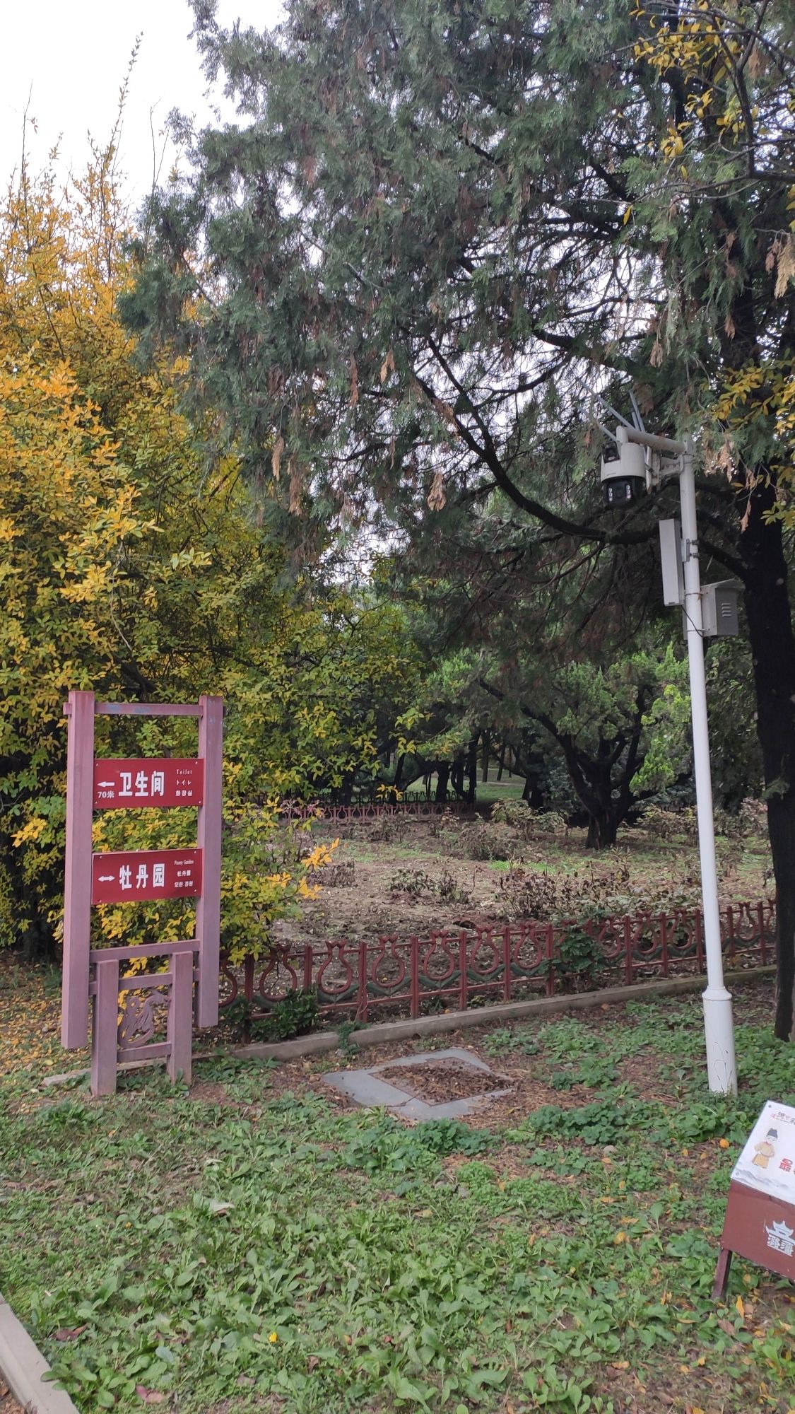 棂星门旅行图片 3