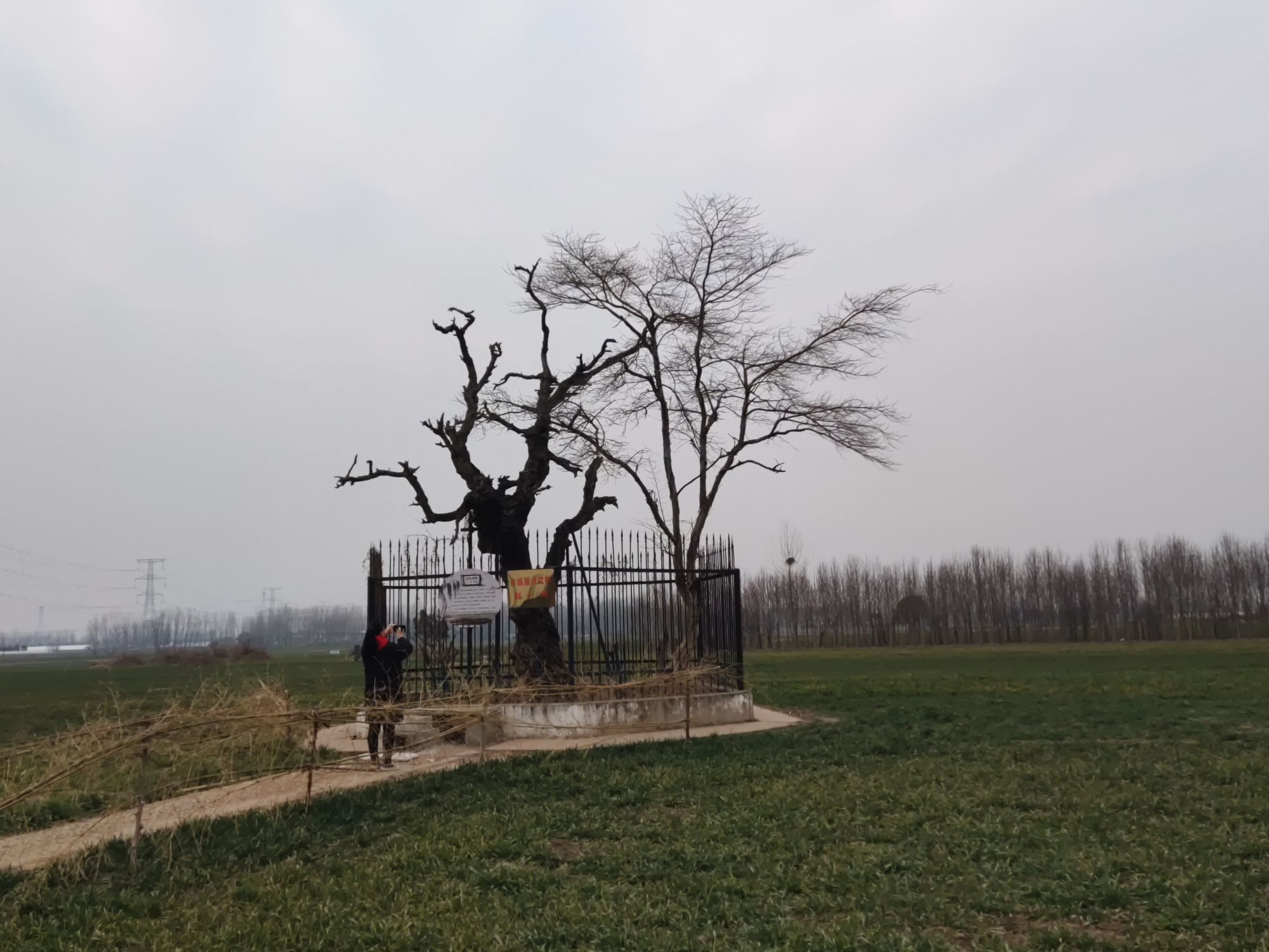 三国古柘旅行图片 1