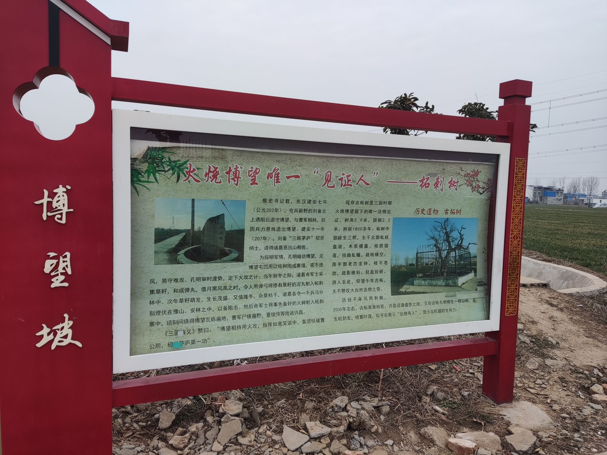 三国古柘旅行图片 2