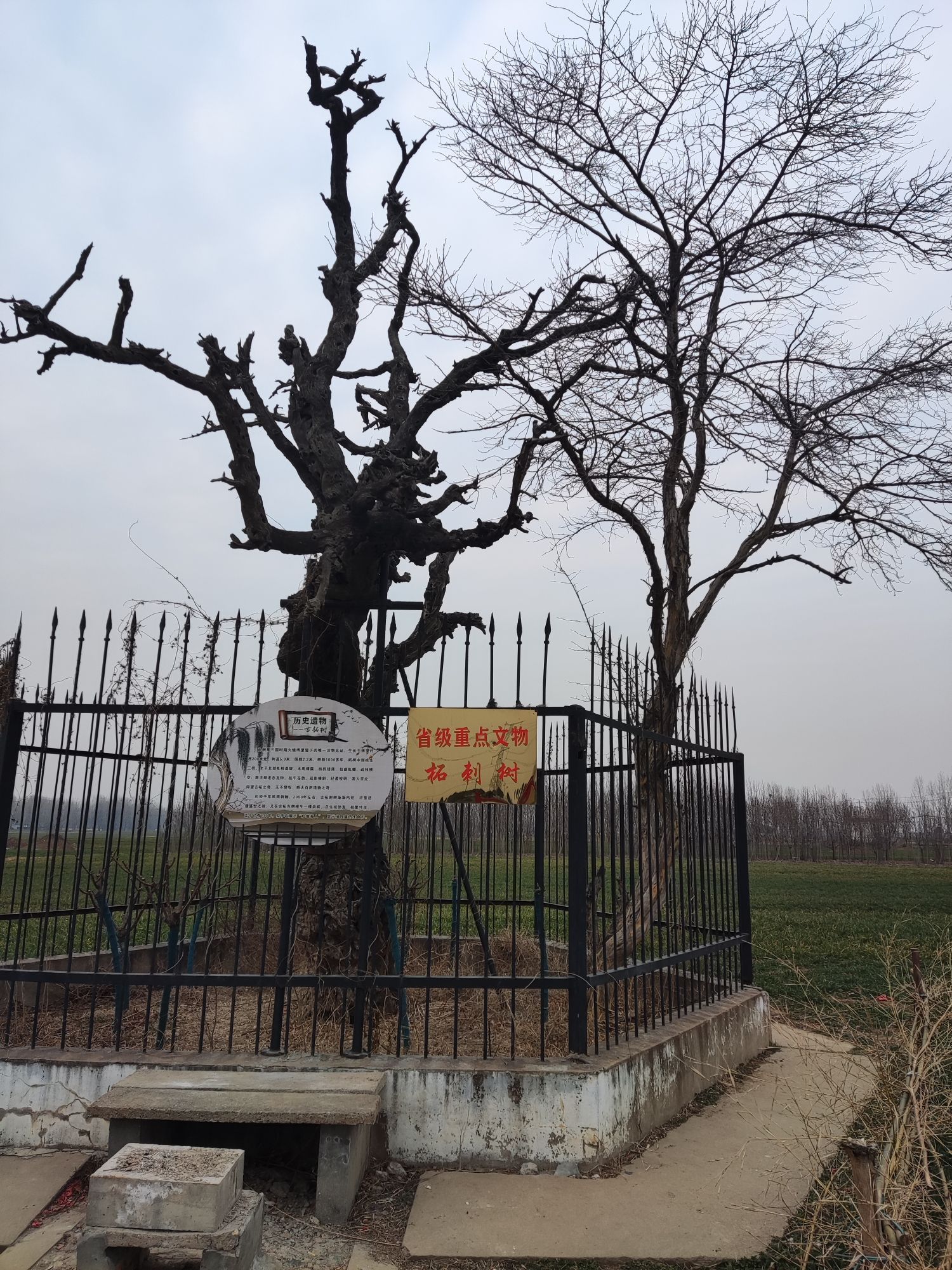 三国古柘旅行图片 3