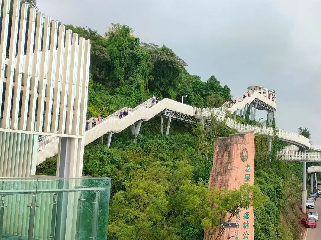 天府新区合江玻璃栈道旅行图片 3