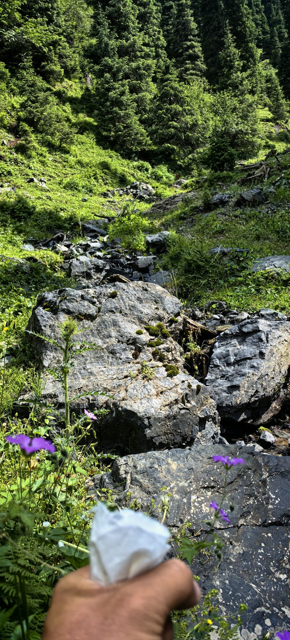 天山大峡谷-灯草沟旅游风景区