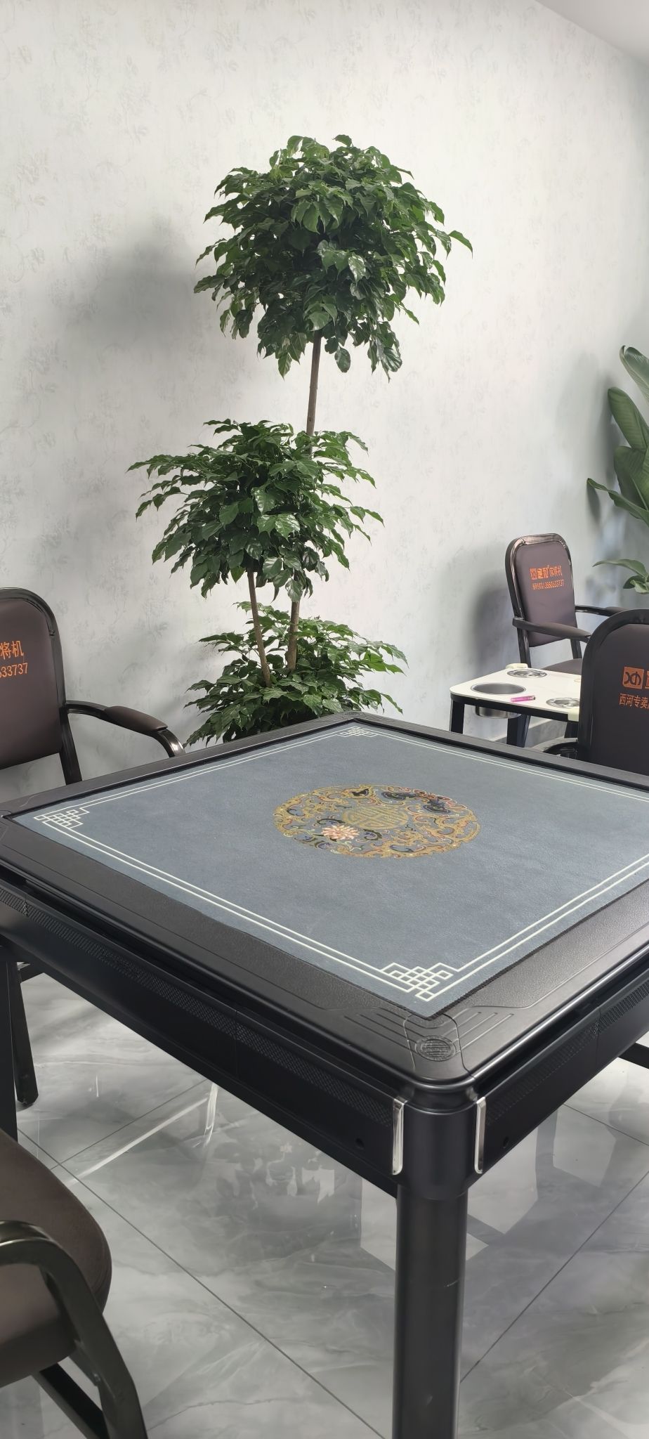 场地封面-天鹅棋室