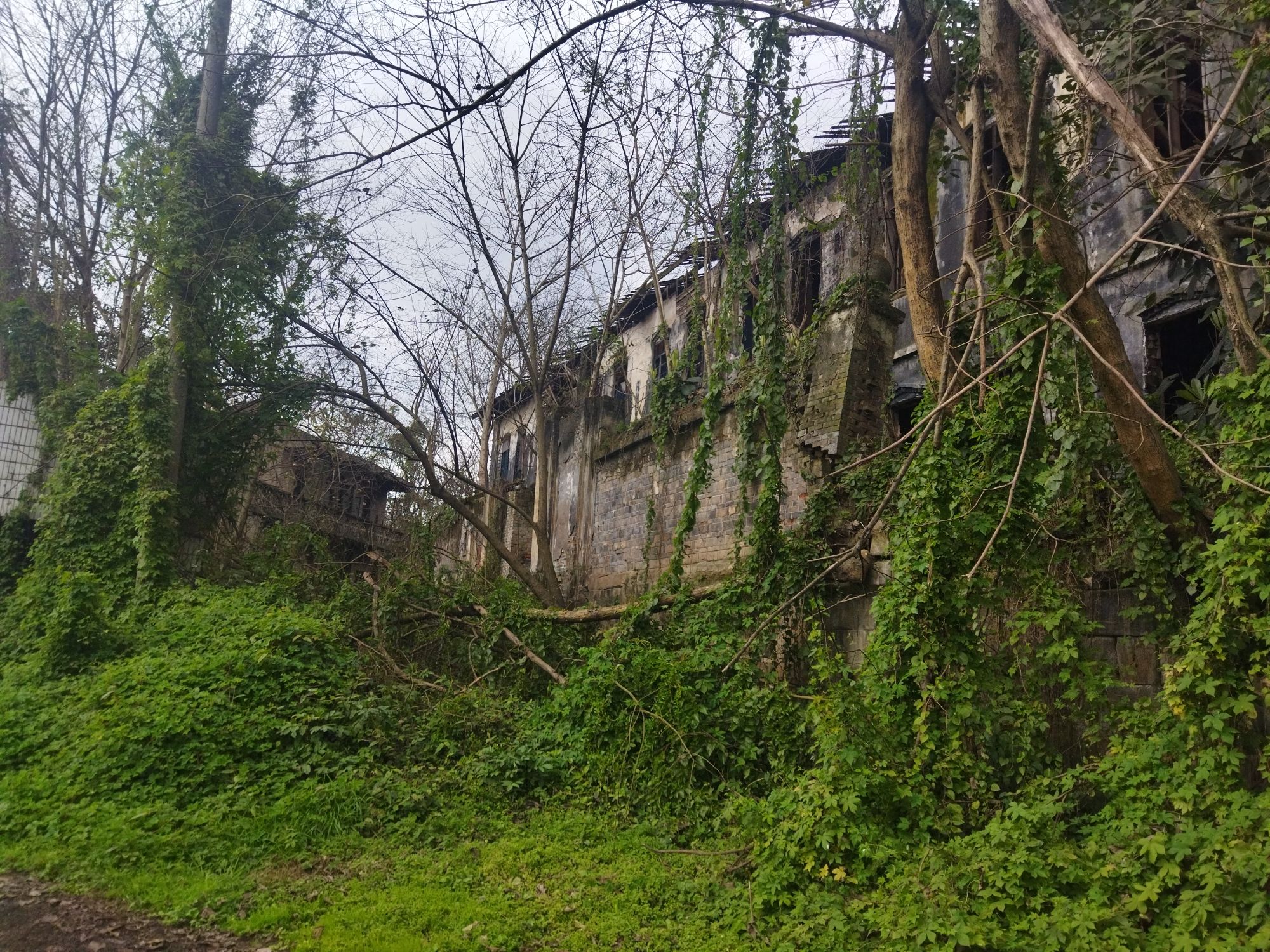 顺江古镇旅行图片 1