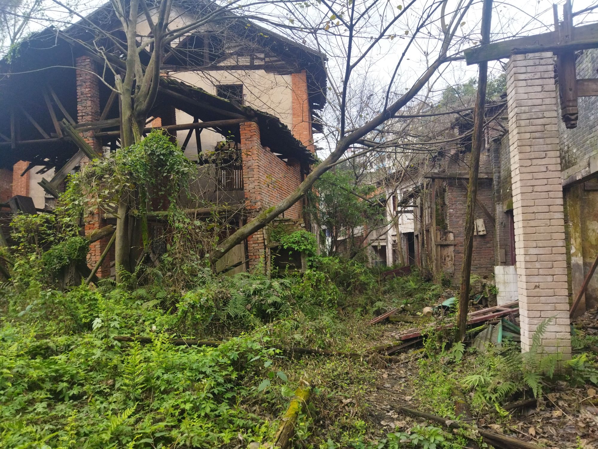 顺江古镇旅行图片 2
