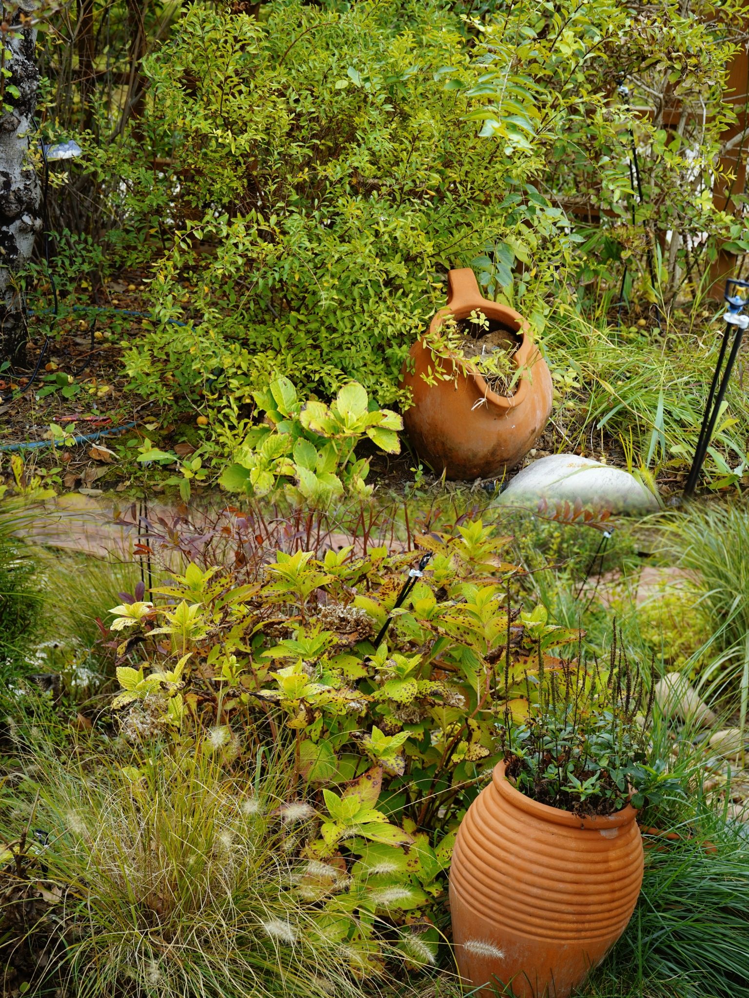 丽日湖公园旅行图片 2