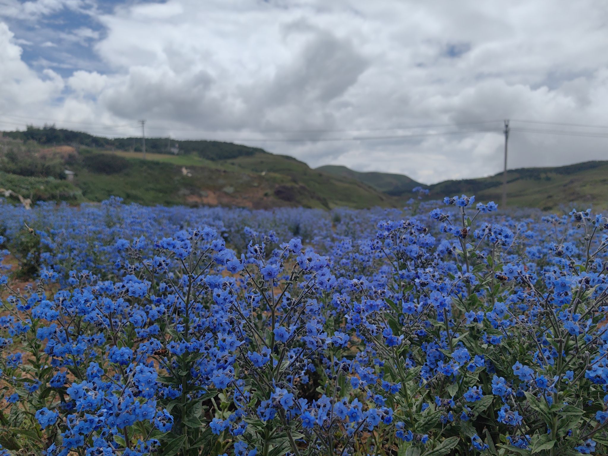 昭通大山包旅游小镇(凤凰片区)