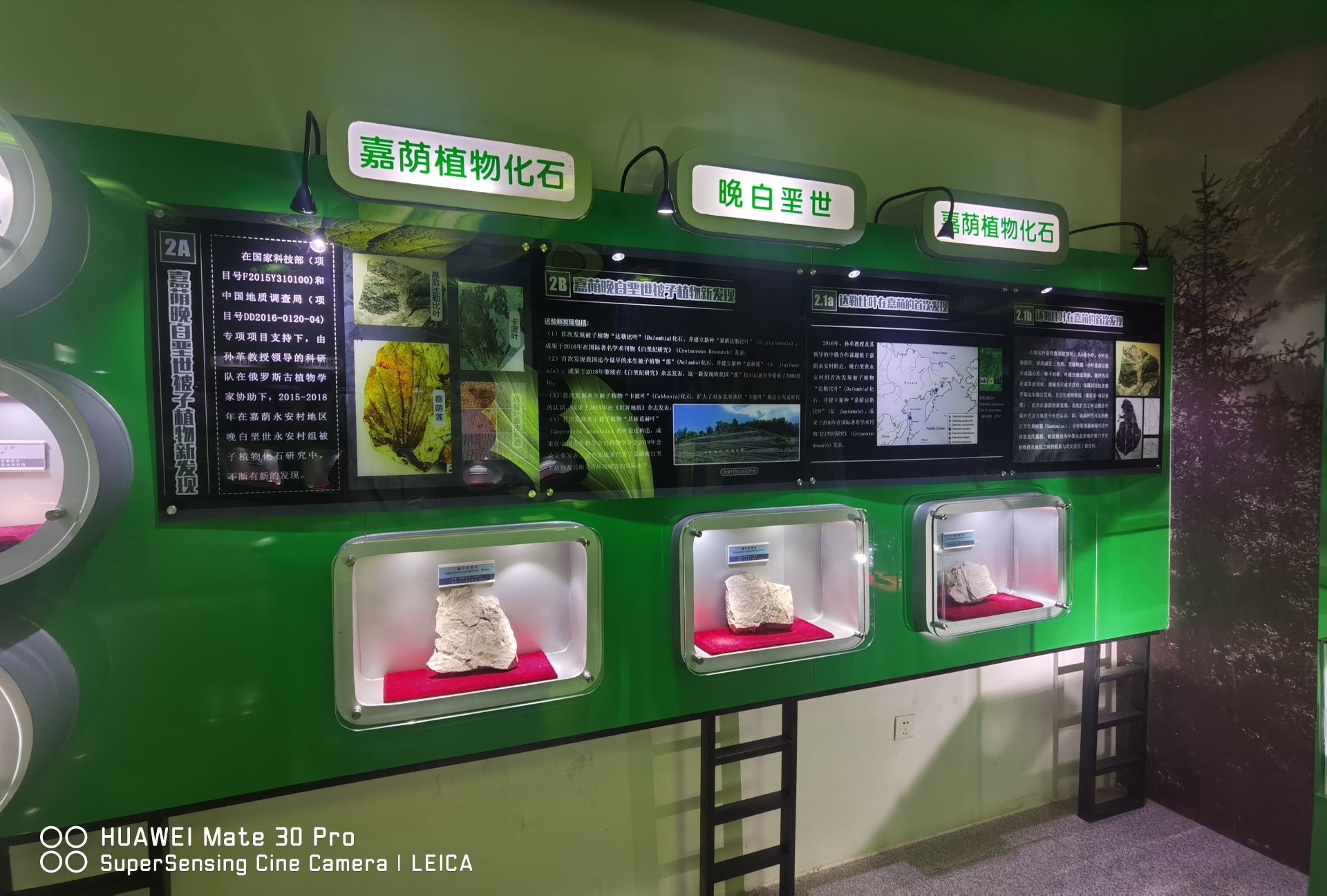 古植物厅